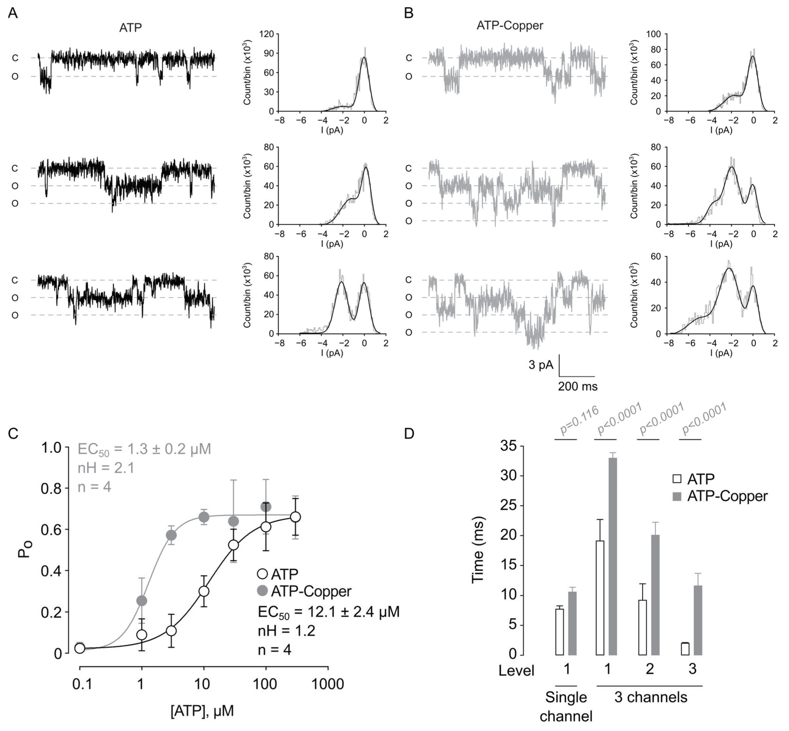 Pharmaceuticals 17 01590 g004 Pharmaceuticals 17 01590 g004