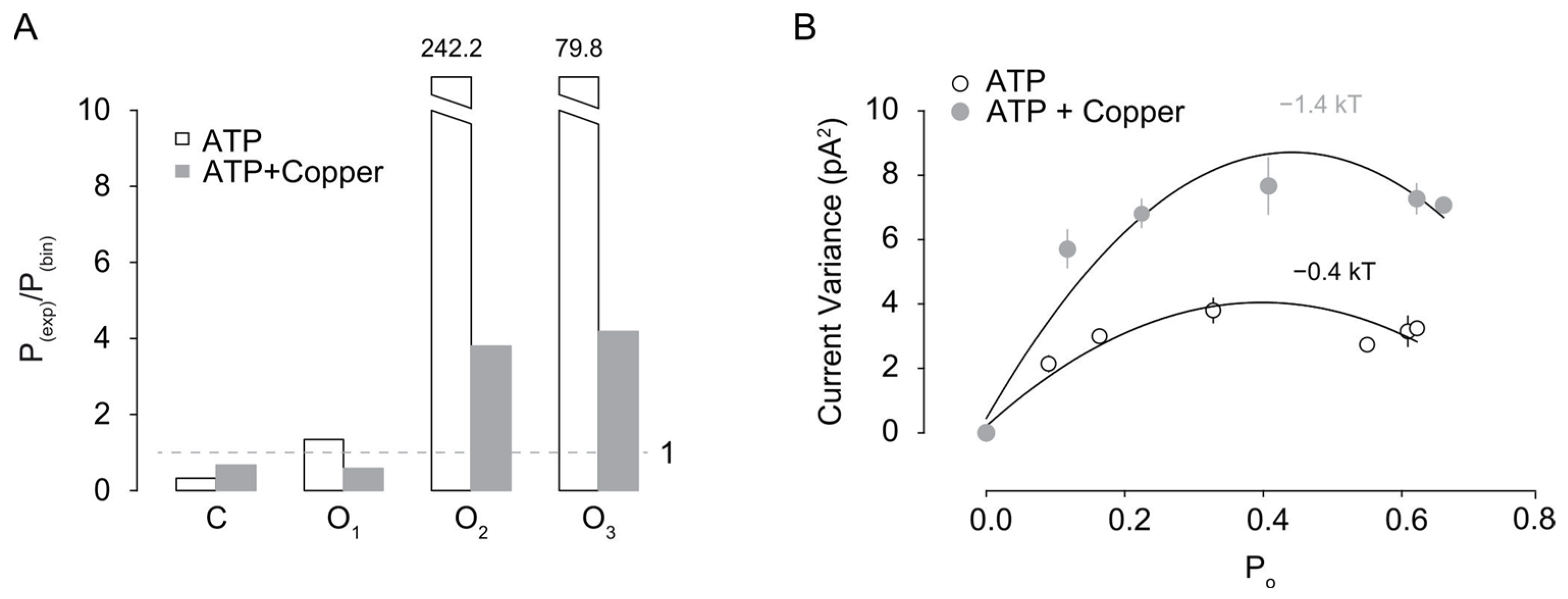 Pharmaceuticals 17 01590 g005 Pharmaceuticals 17 01590 g005
