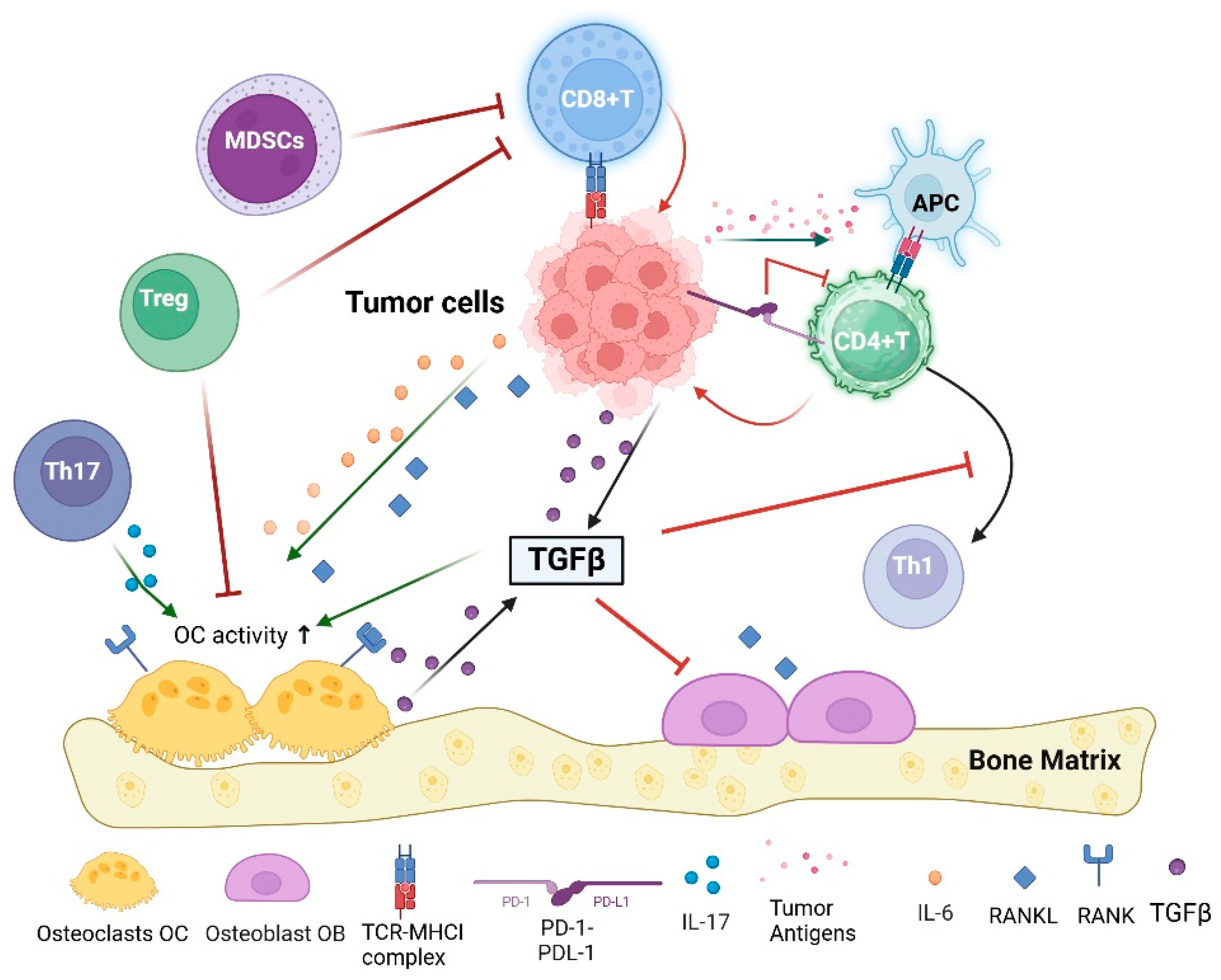 Pharmaceuticals 17 01591 g001
