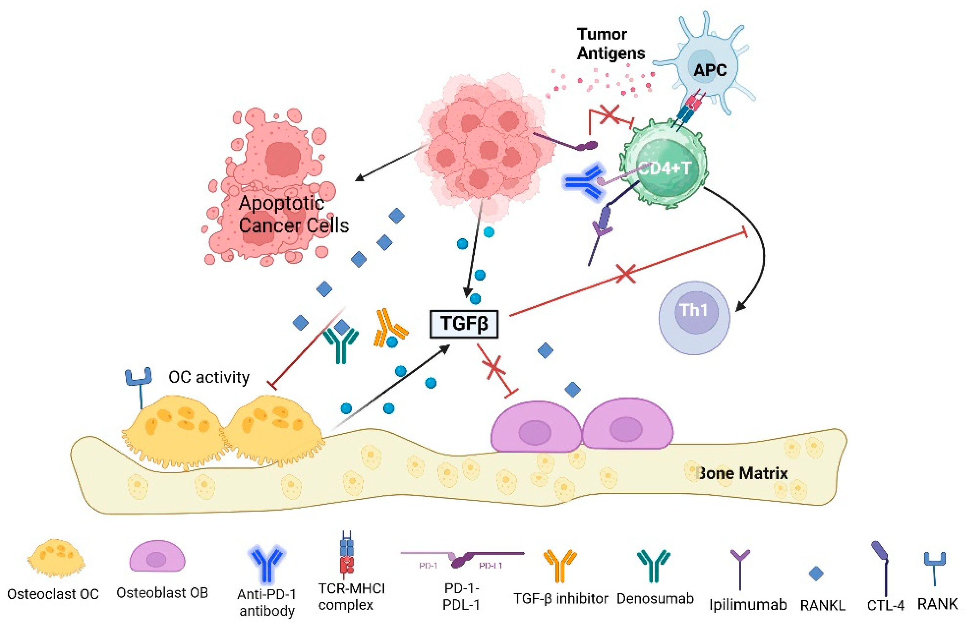 Pharmaceuticals 17 01591 g002