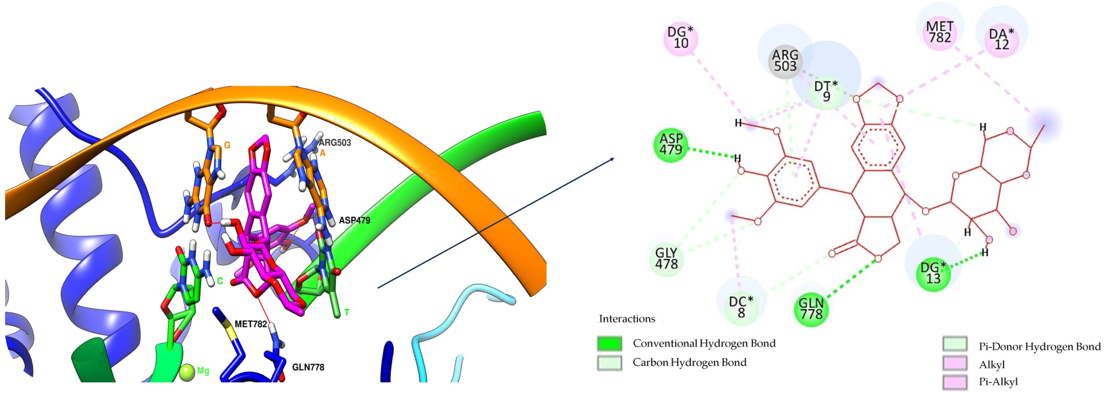 Pharmaceuticals 17 01593 g004 Pharmaceuticals 17 01593 g004