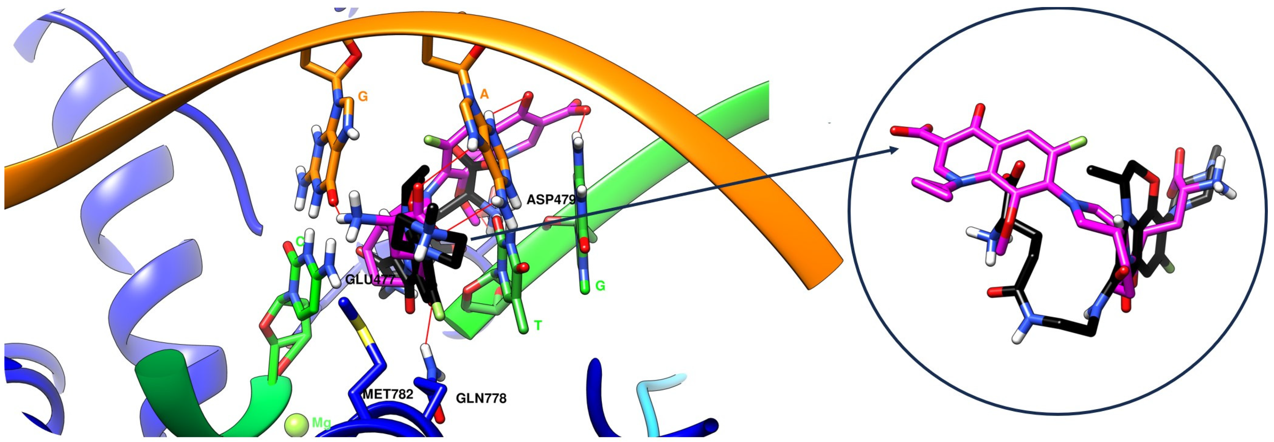 Pharmaceuticals 17 01593 g007 Pharmaceuticals 17 01593 g007