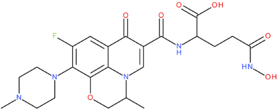 Pharmaceuticals 17 01593 i013 Pharmaceuticals 17 01593 i013