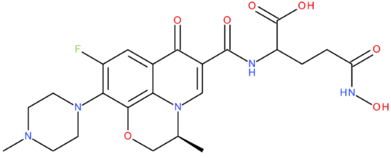 Pharmaceuticals 17 01593 i014 Pharmaceuticals 17 01593 i014