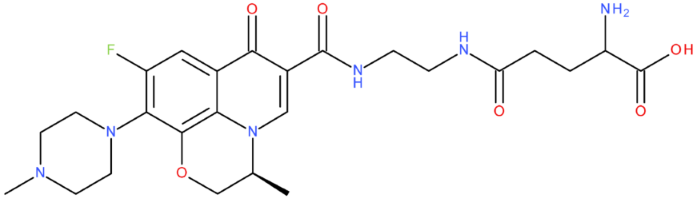 Pharmaceuticals 17 01593 i026 Pharmaceuticals 17 01593 i026