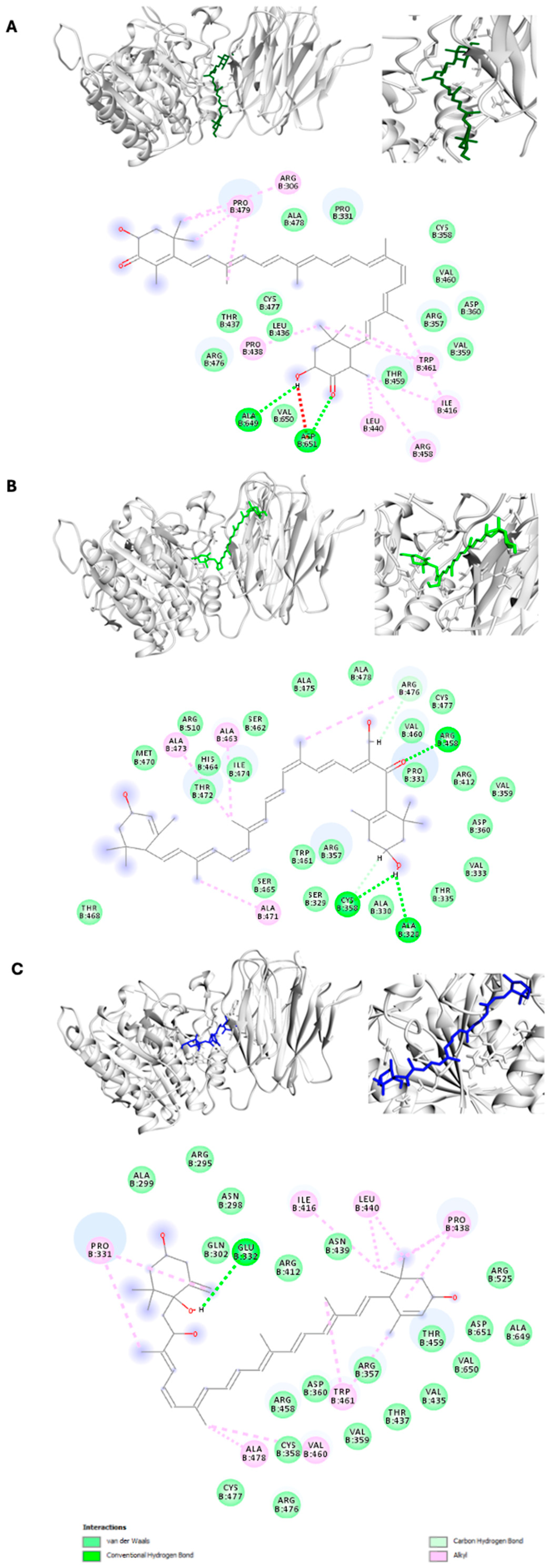 Pharmaceuticals 17 01597 g001