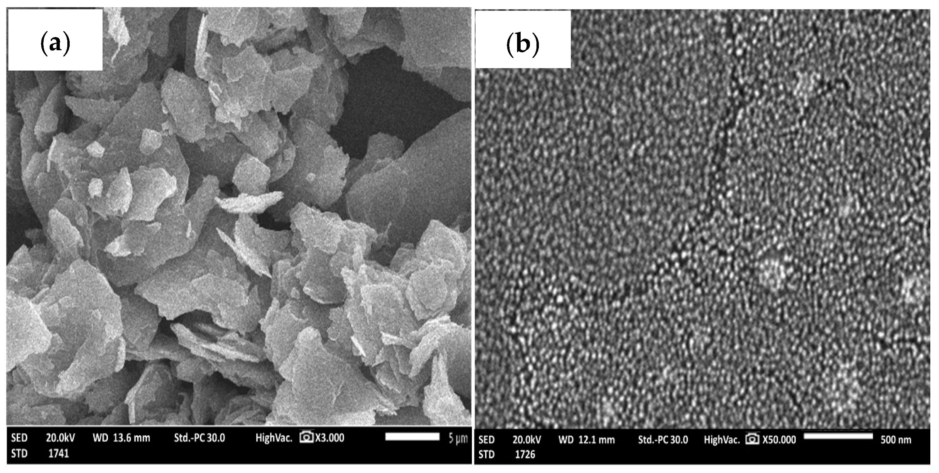 Pharmaceuticals 17 01600 g001a