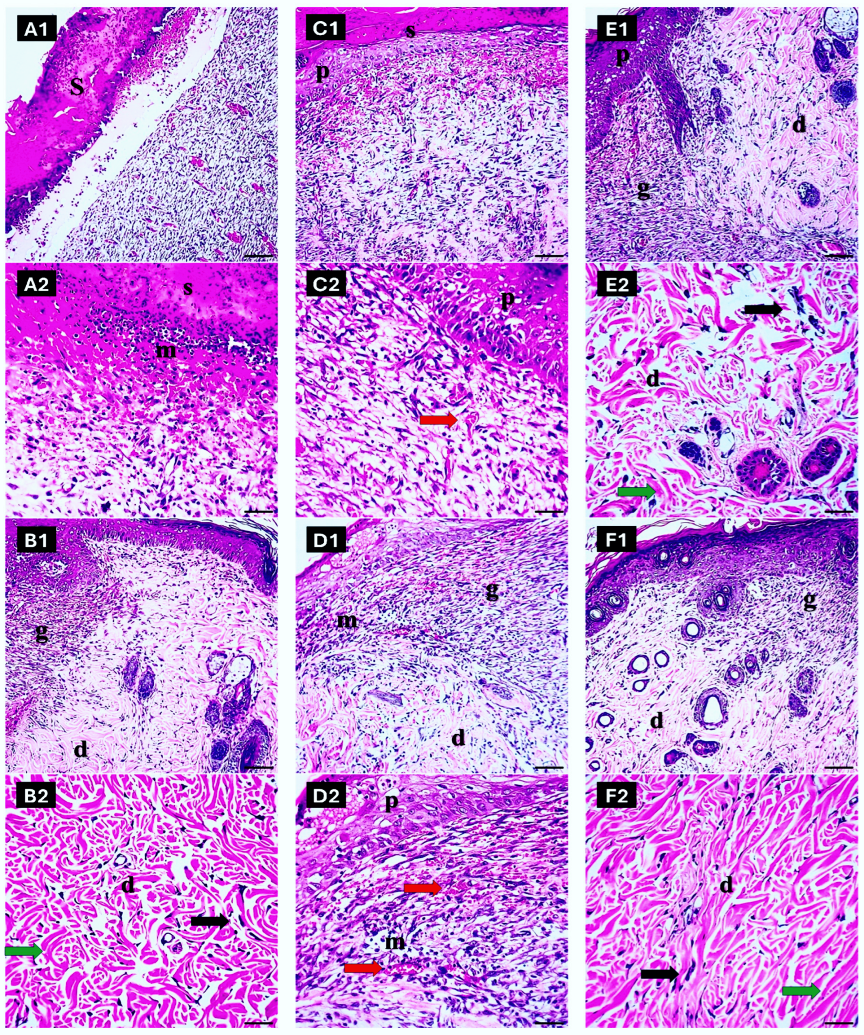Pharmaceuticals 17 01600 g009