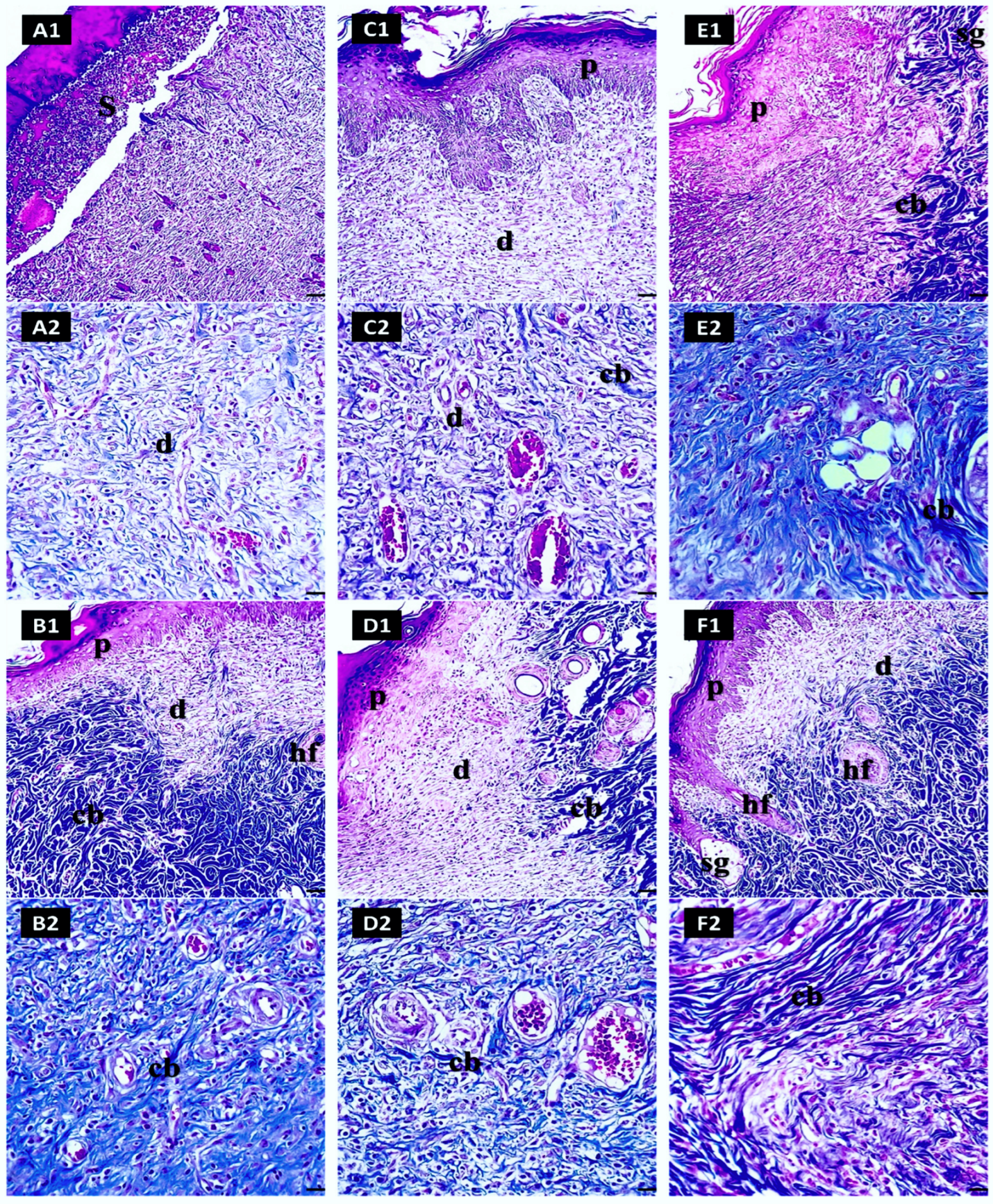 Pharmaceuticals 17 01600 g010