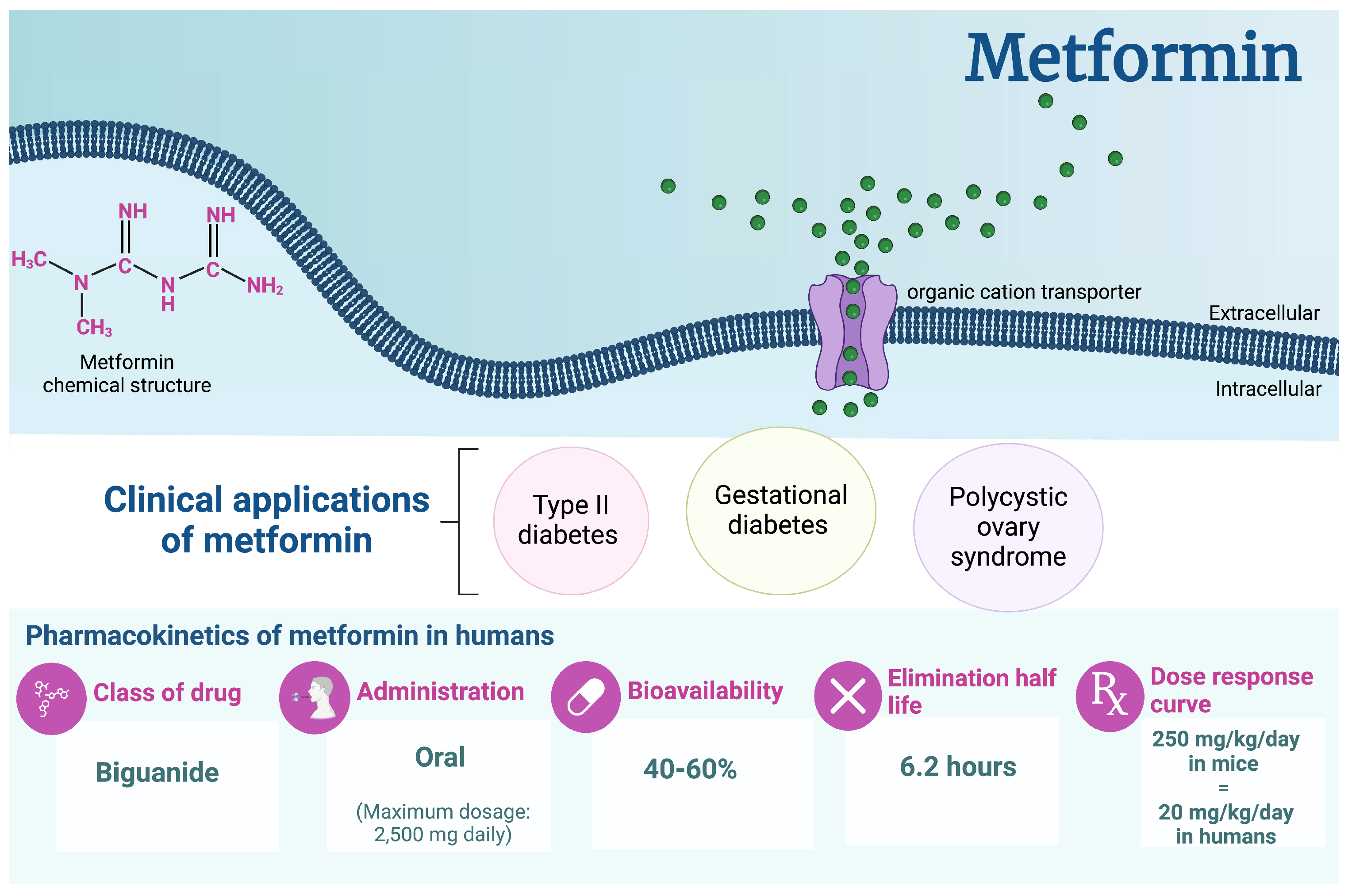 Pharmaceuticals 17 01601 g001