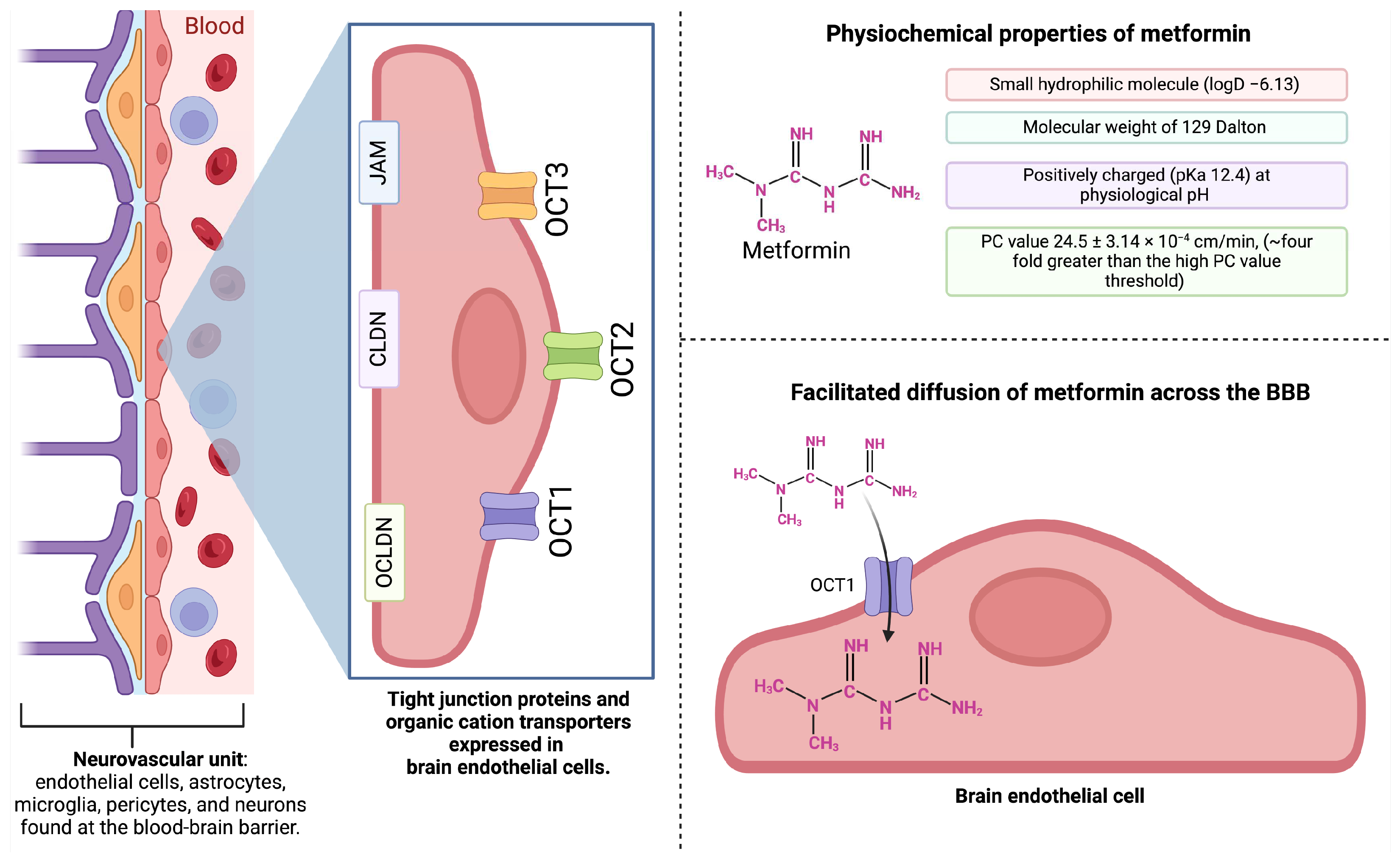 Pharmaceuticals 17 01601 g002