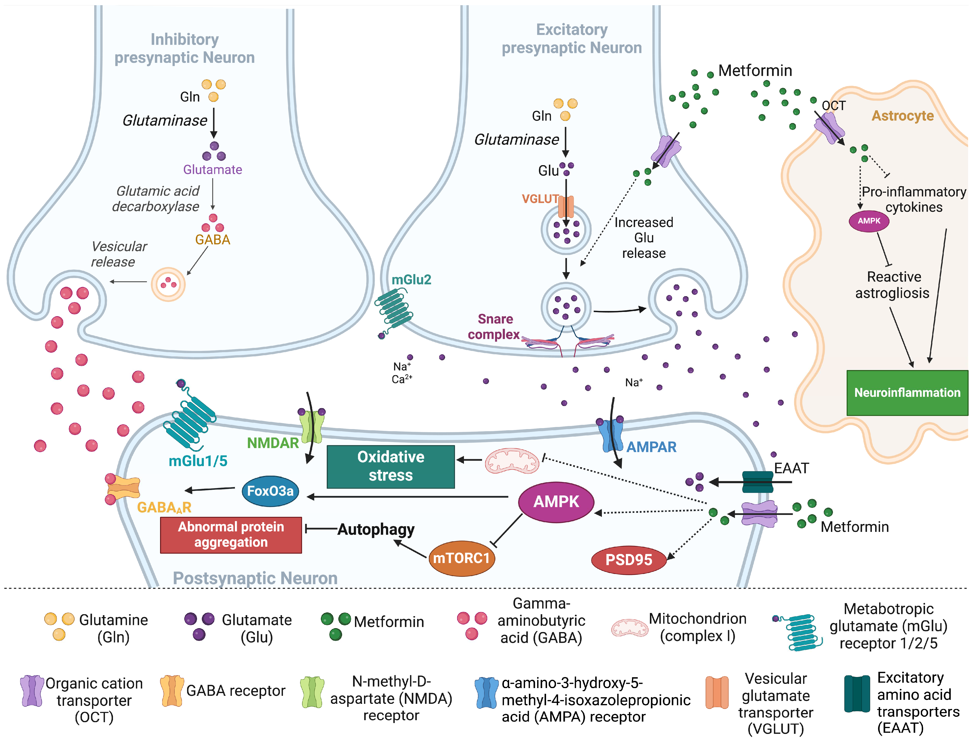 Pharmaceuticals 17 01601 g003