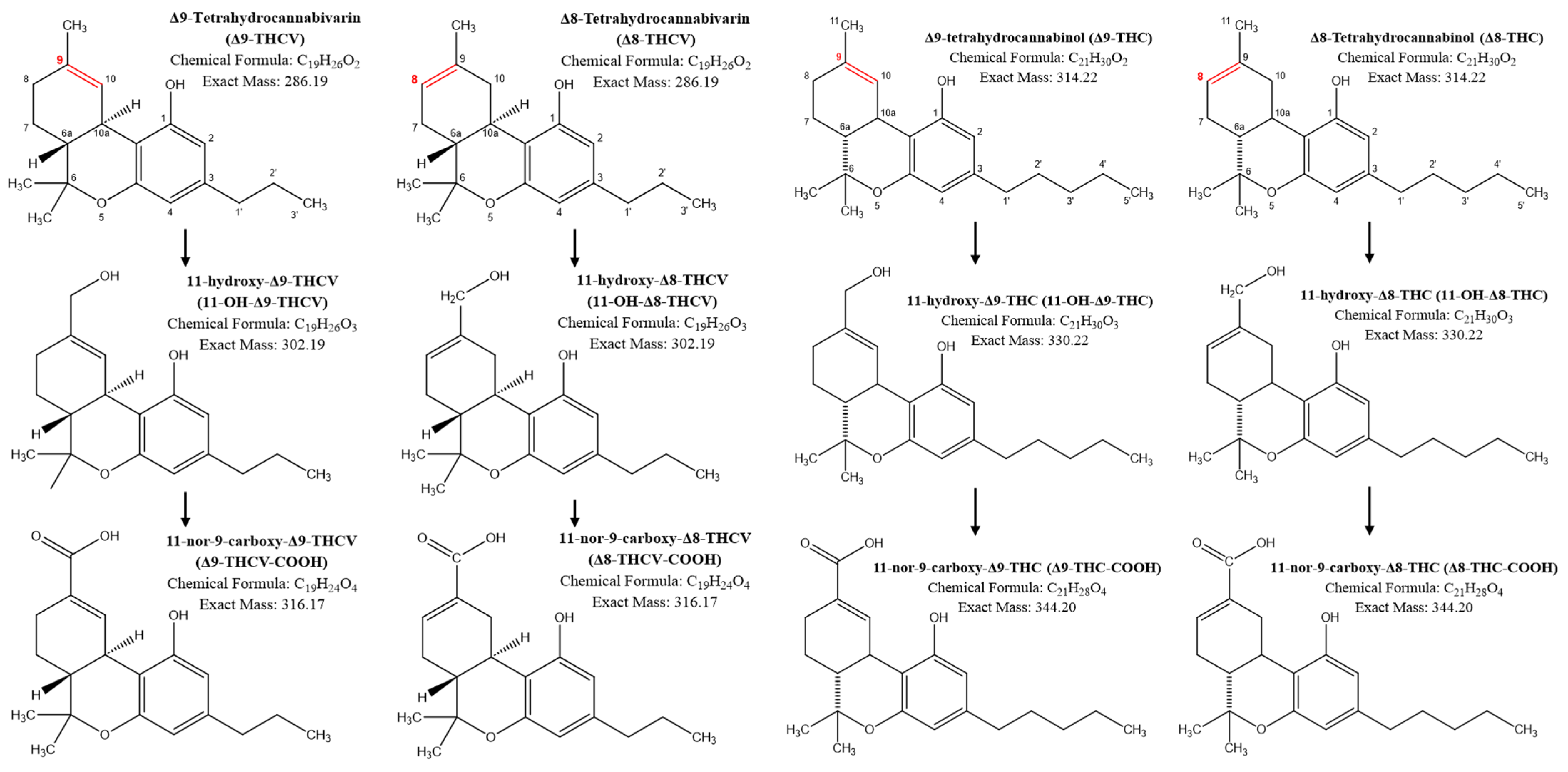 Pharmaceuticals 17 01603 g003