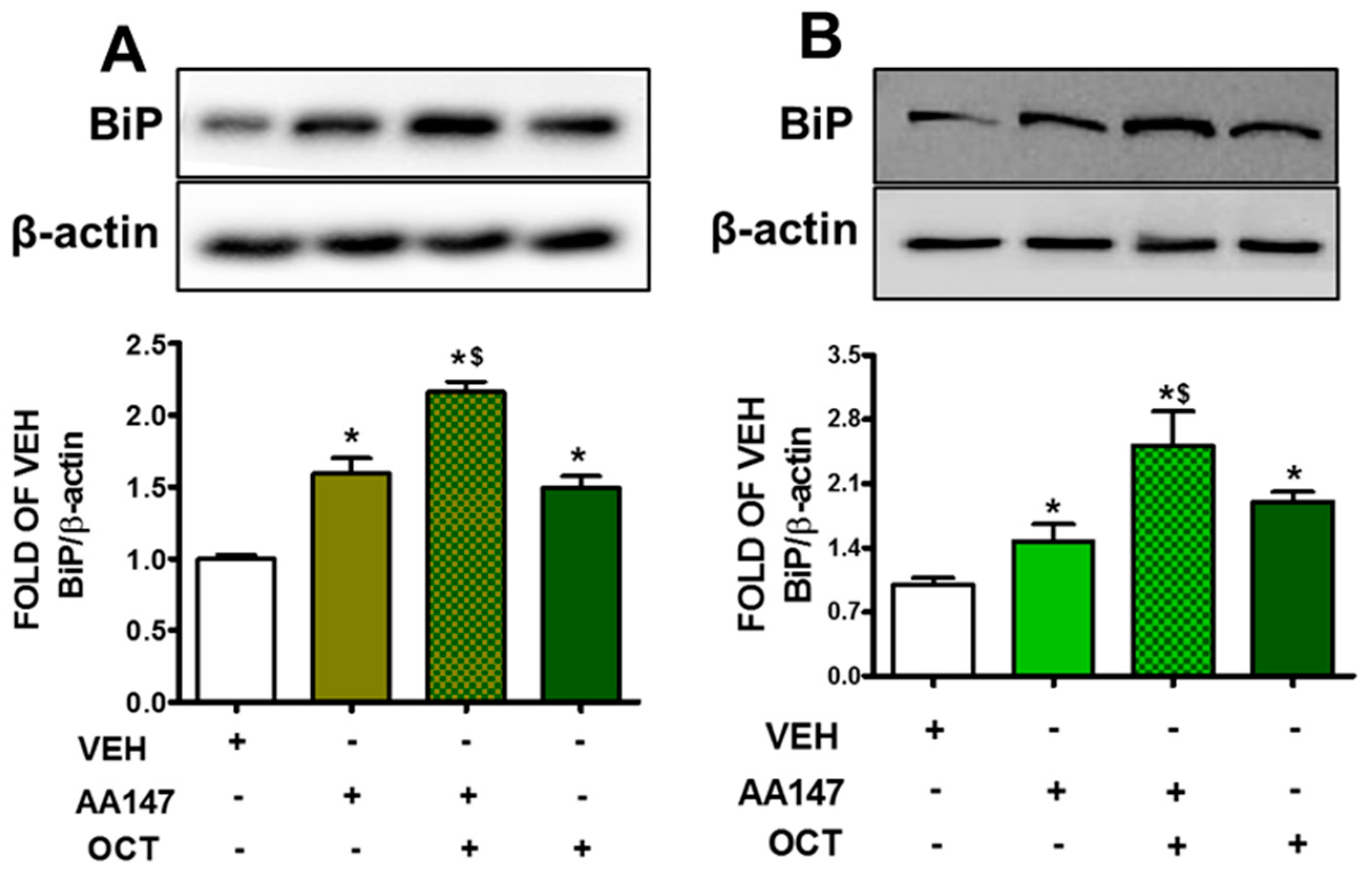 Pharmaceuticals 17 01604 g001