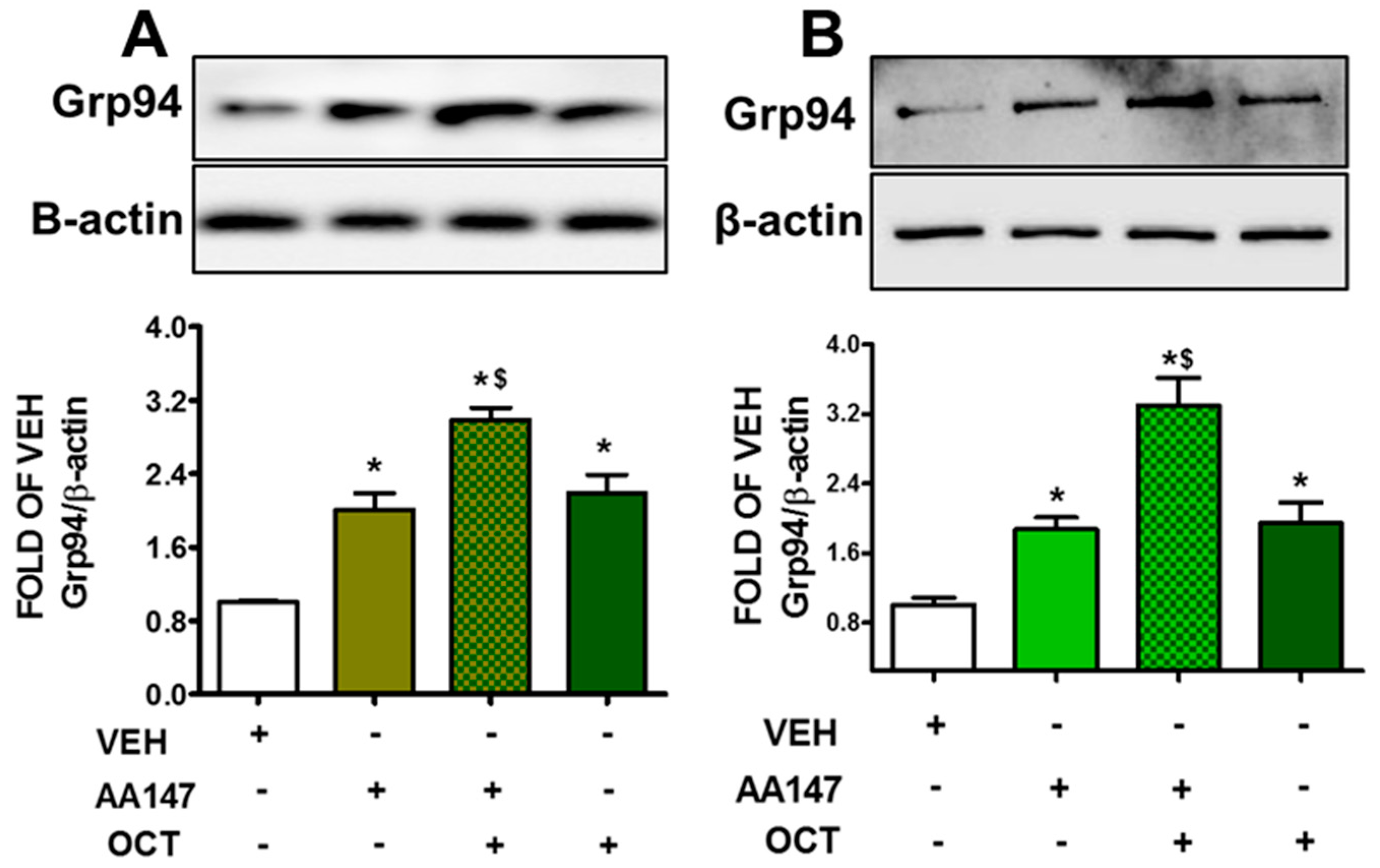 Pharmaceuticals 17 01604 g002