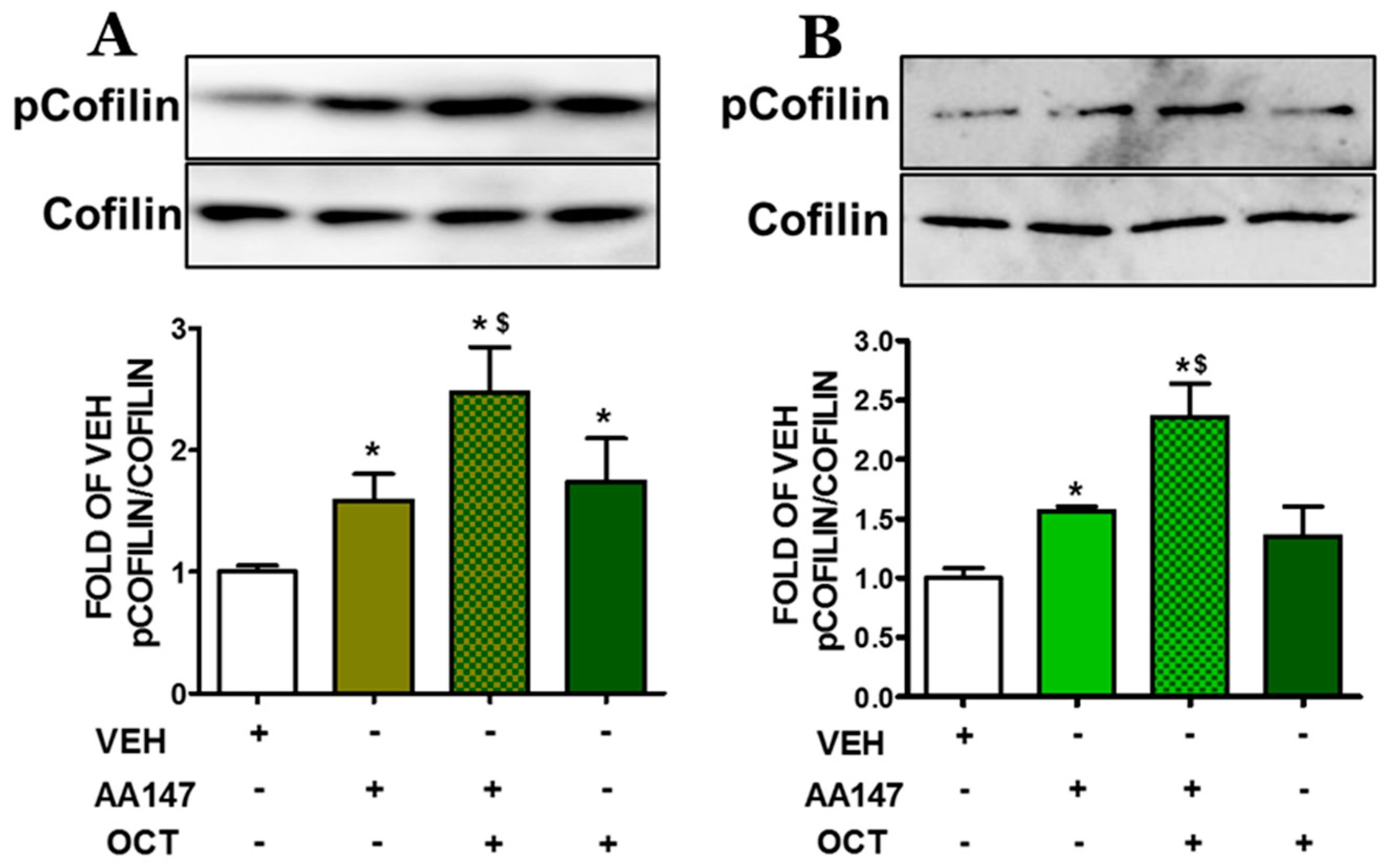 Pharmaceuticals 17 01604 g003