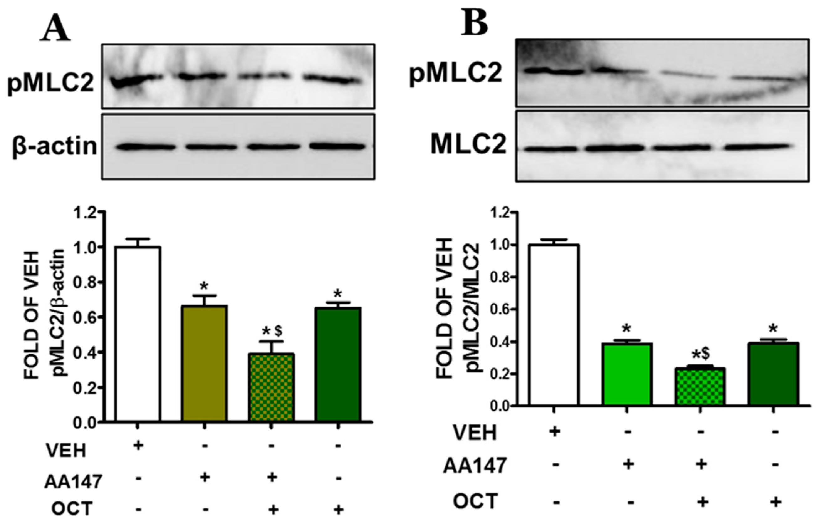 Pharmaceuticals 17 01604 g004