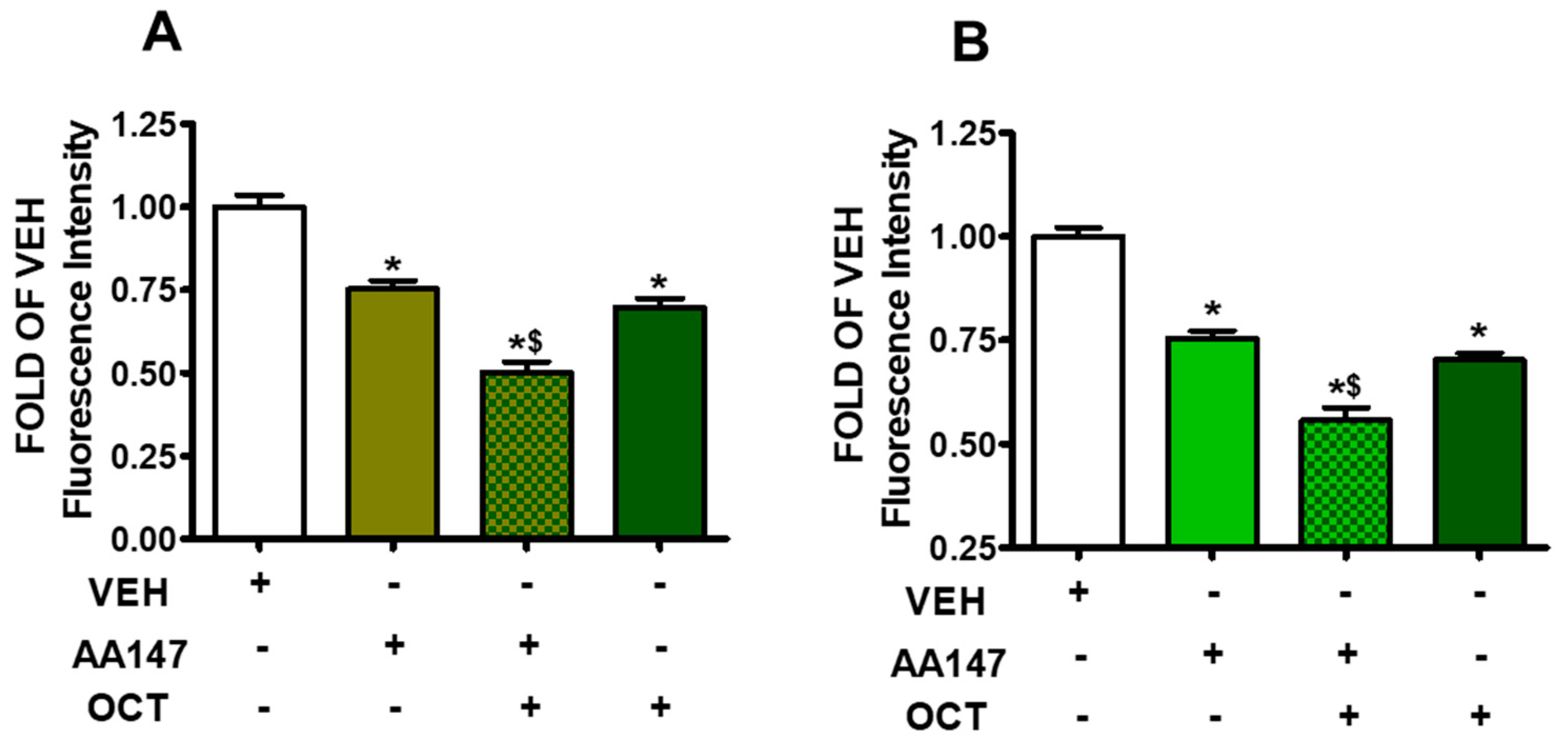 Pharmaceuticals 17 01604 g005