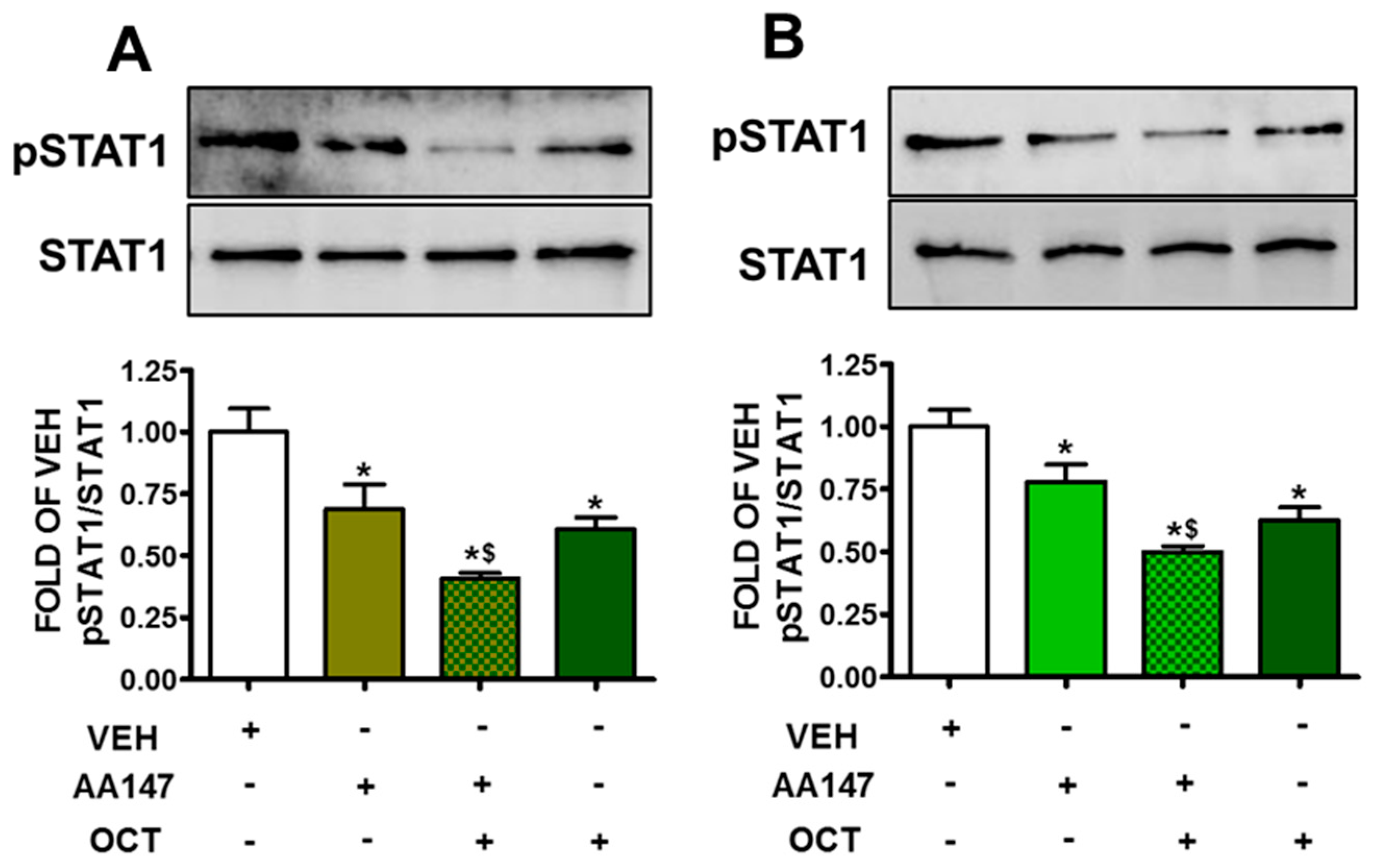 Pharmaceuticals 17 01604 g007