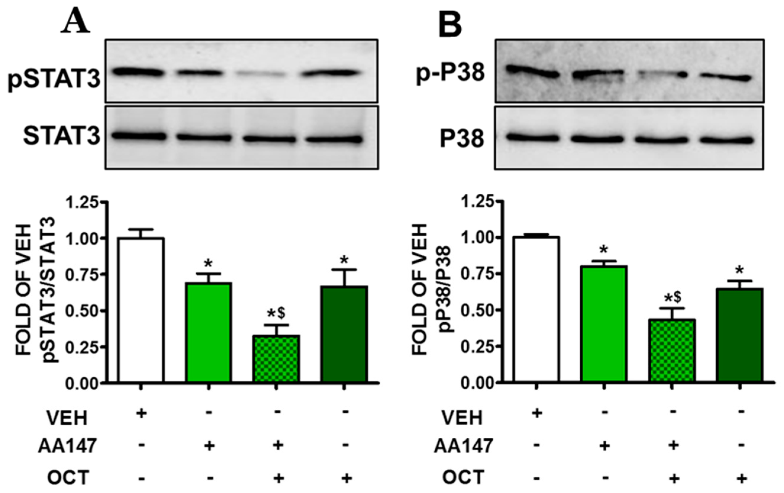 Pharmaceuticals 17 01604 g008