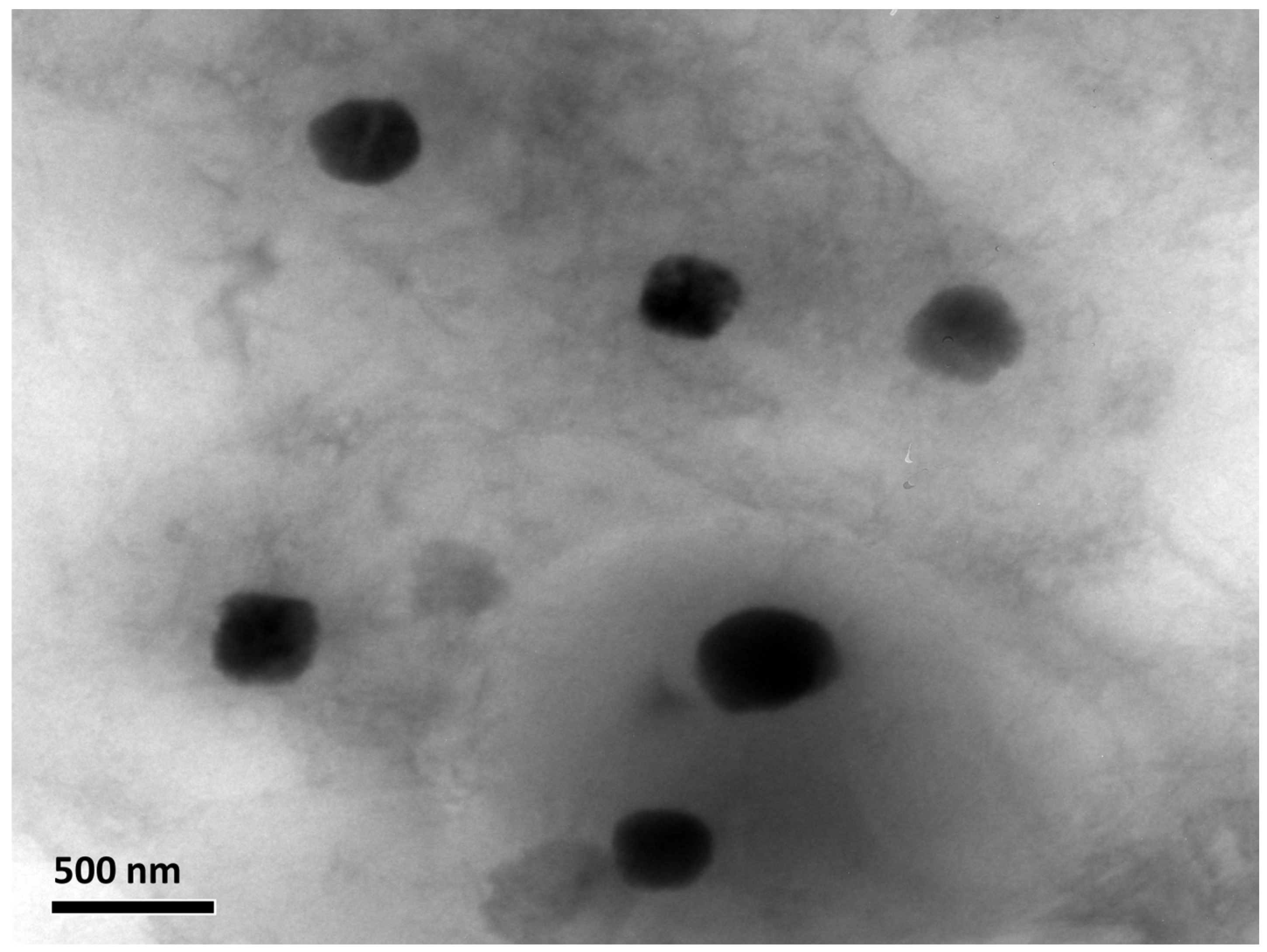 Pharmaceuticals 17 01605 g008