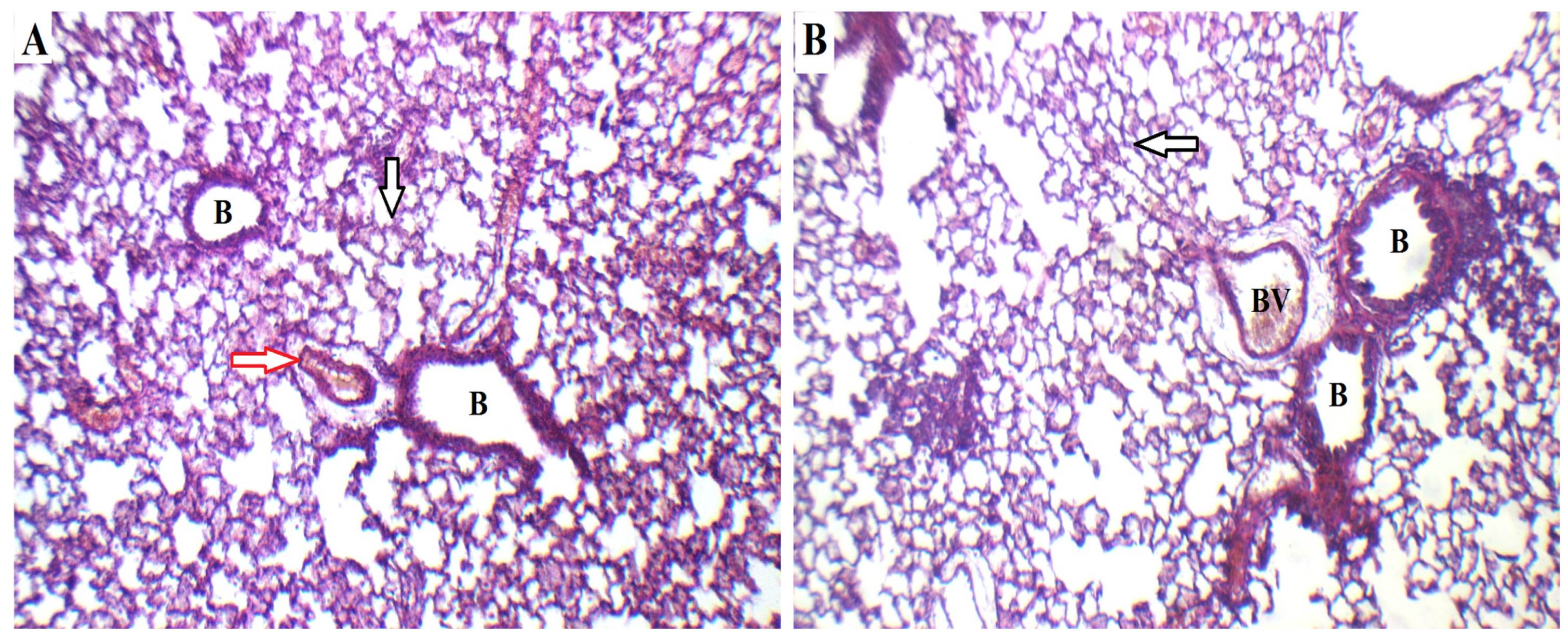 Pharmaceuticals 17 01605 g010