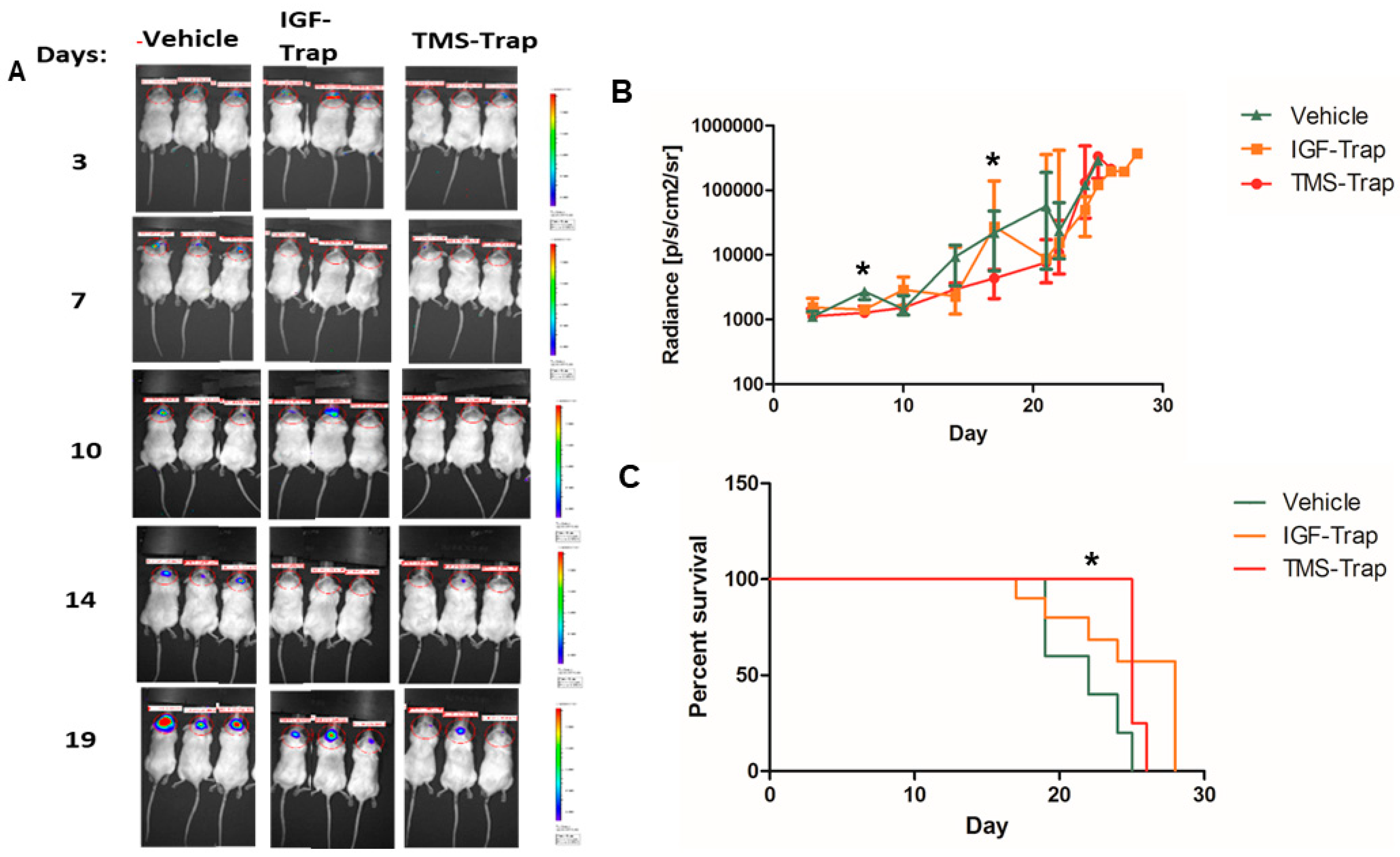 Pharmaceuticals 17 01607 g005