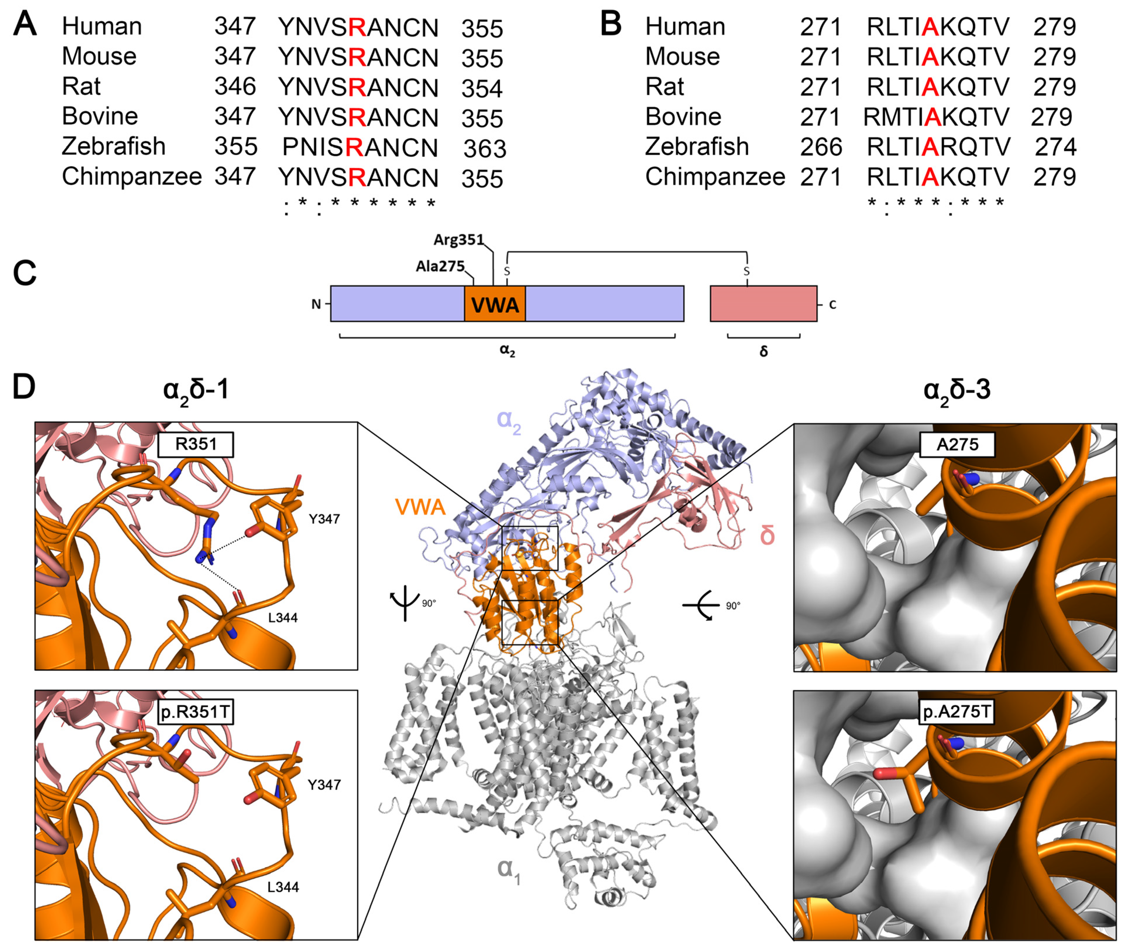 Pharmaceuticals 17 01608 g001 Pharmaceuticals 17 01608 g001