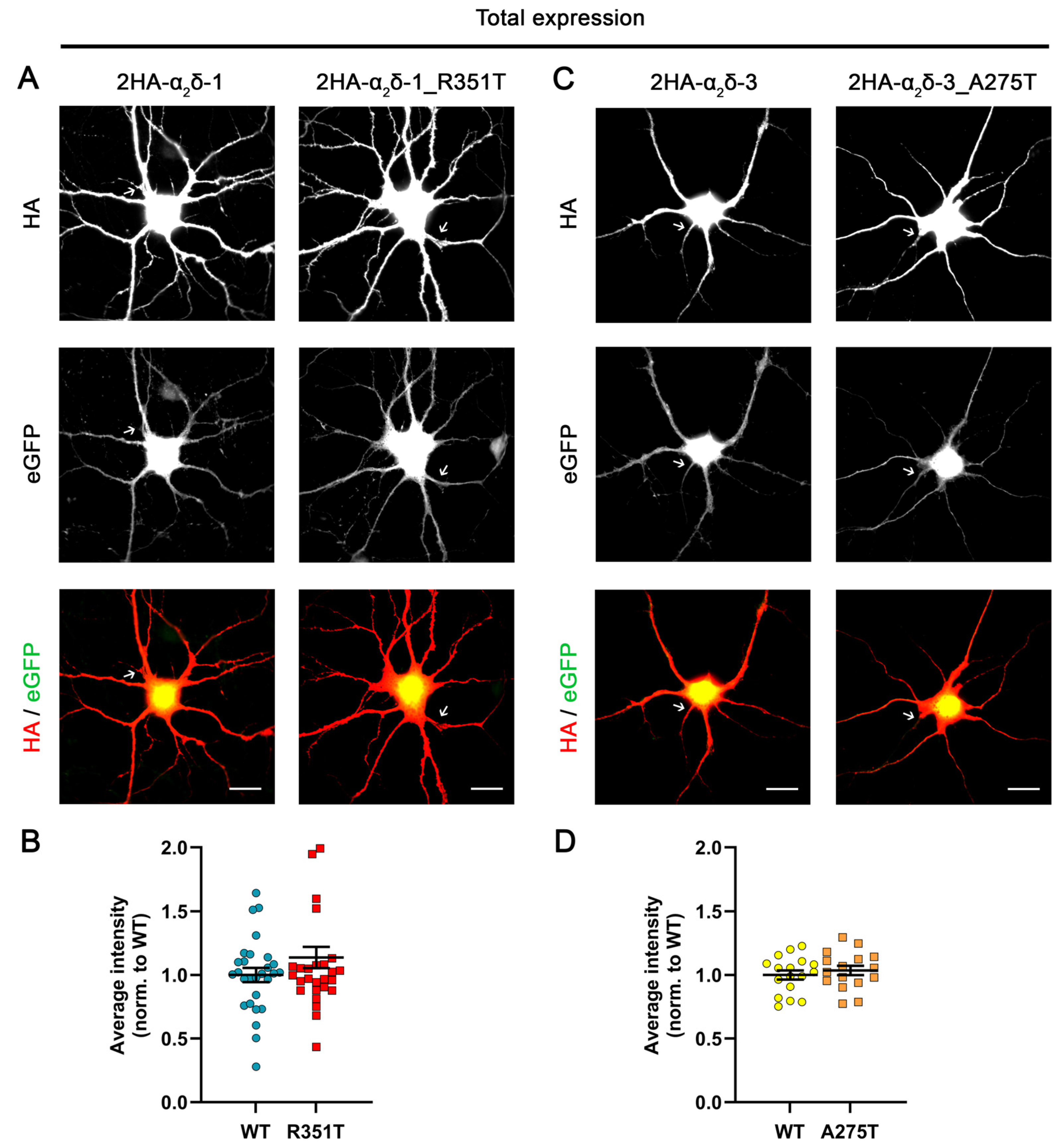 Pharmaceuticals 17 01608 g003 Pharmaceuticals 17 01608 g003