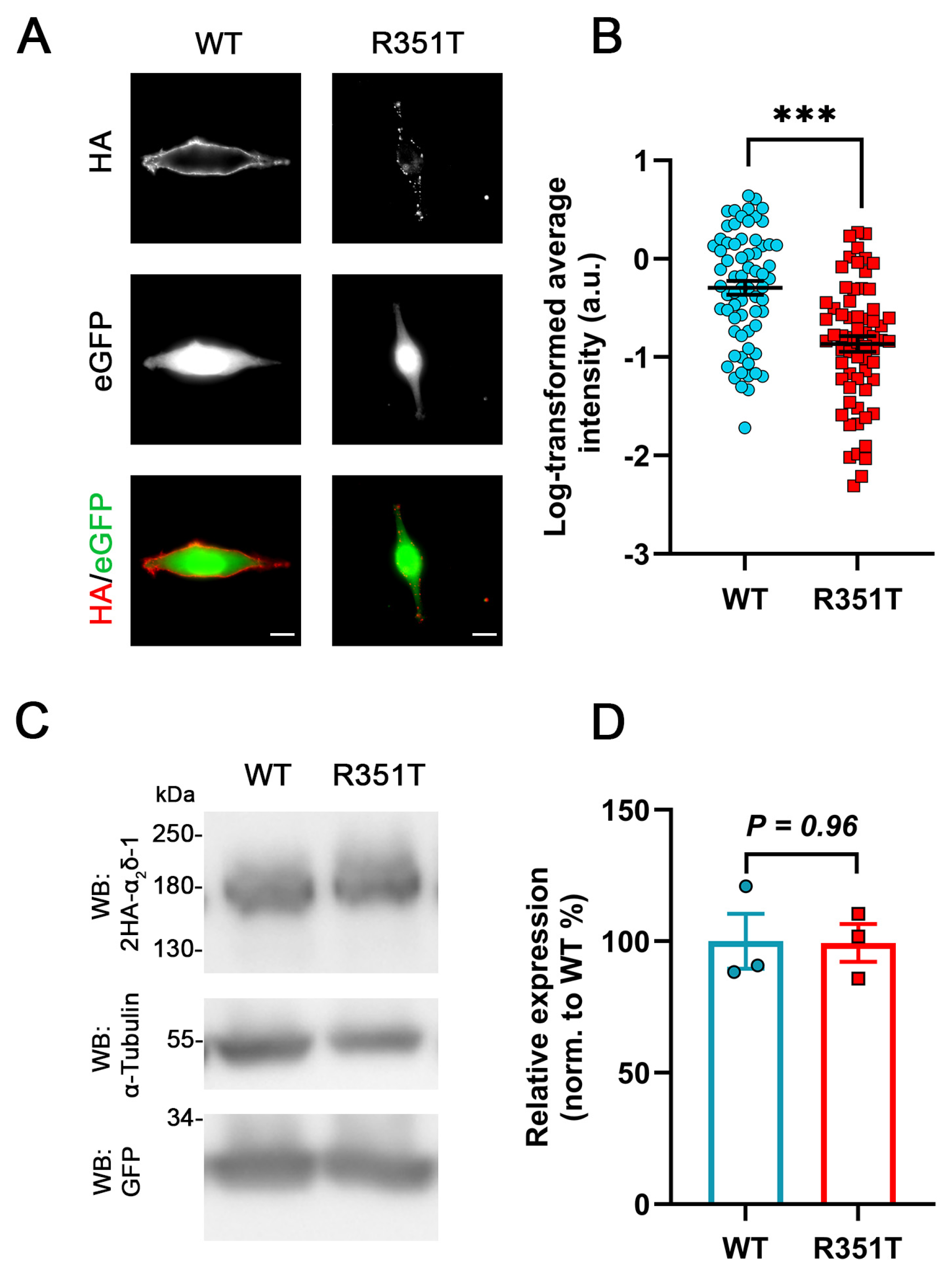 Pharmaceuticals 17 01608 g004 Pharmaceuticals 17 01608 g004