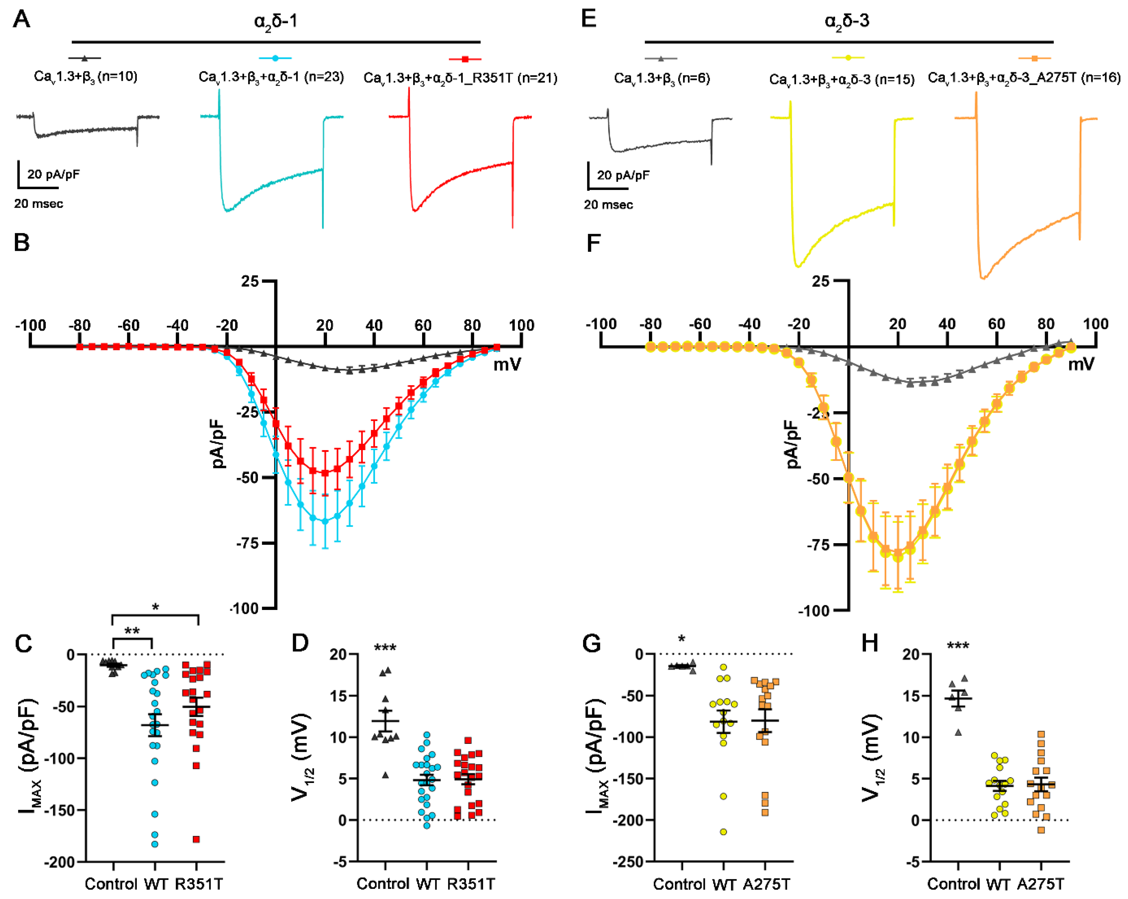 Pharmaceuticals 17 01608 g007 Pharmaceuticals 17 01608 g007