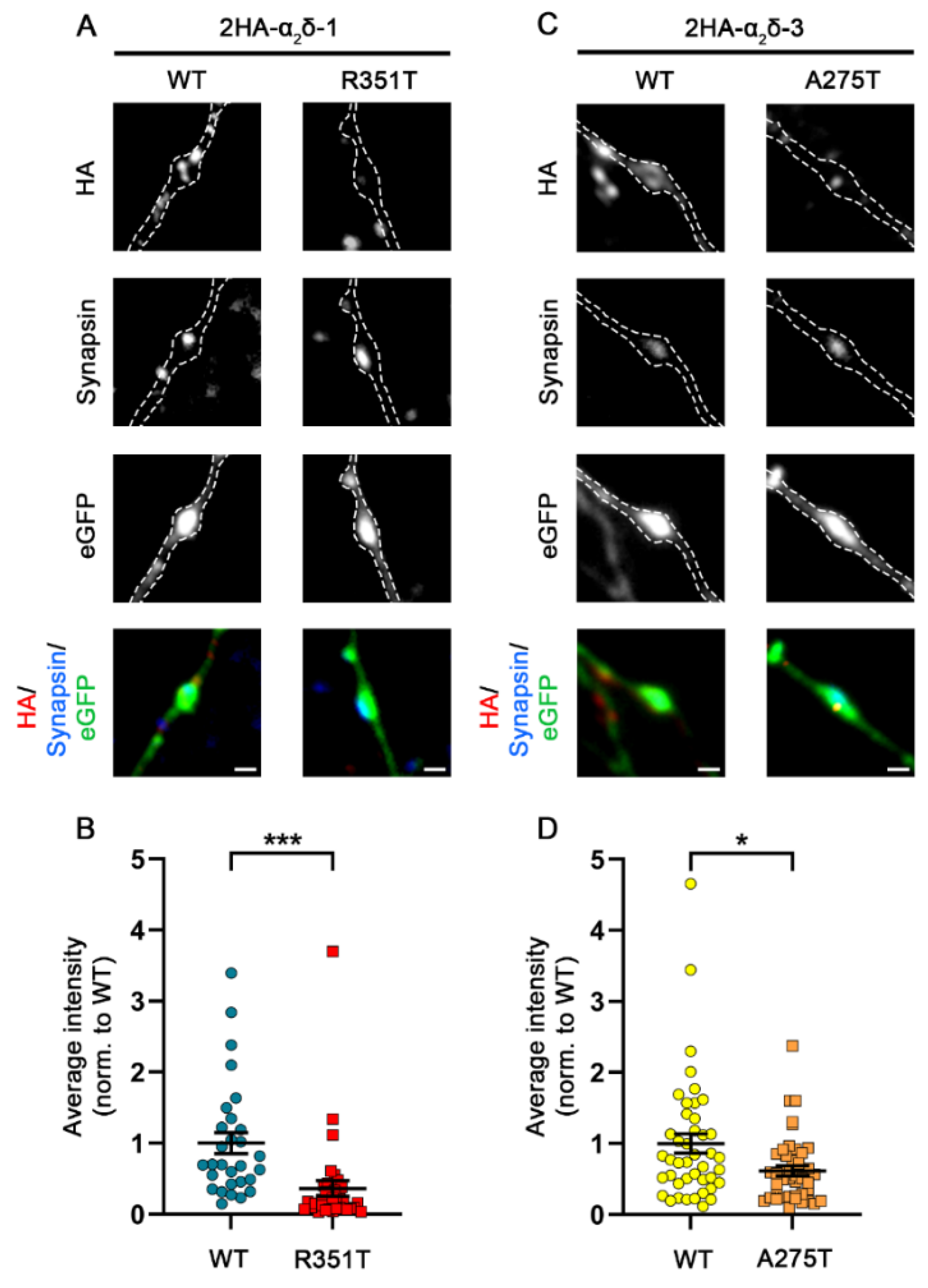 Pharmaceuticals 17 01608 g009 Pharmaceuticals 17 01608 g009