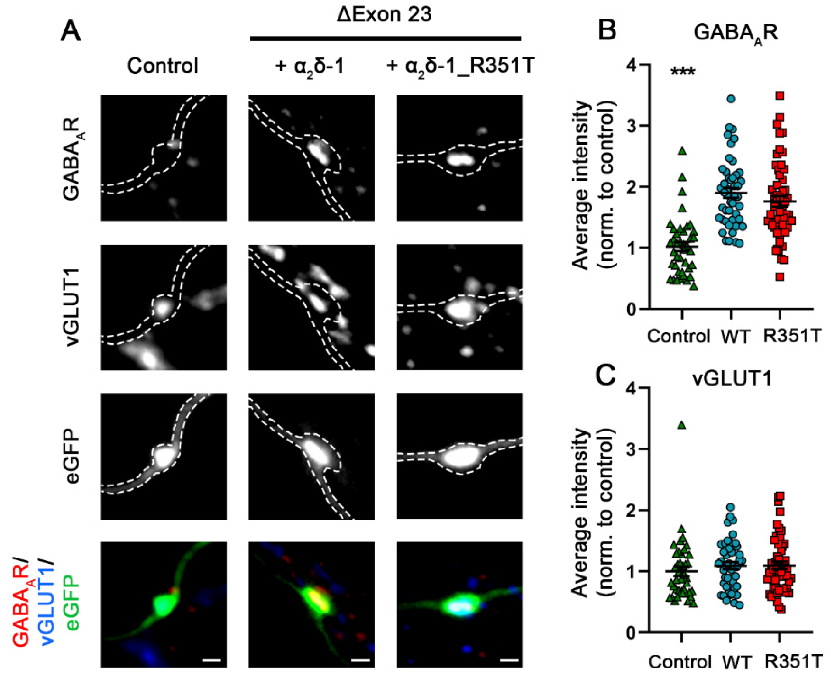 Pharmaceuticals 17 01608 g010 Pharmaceuticals 17 01608 g010
