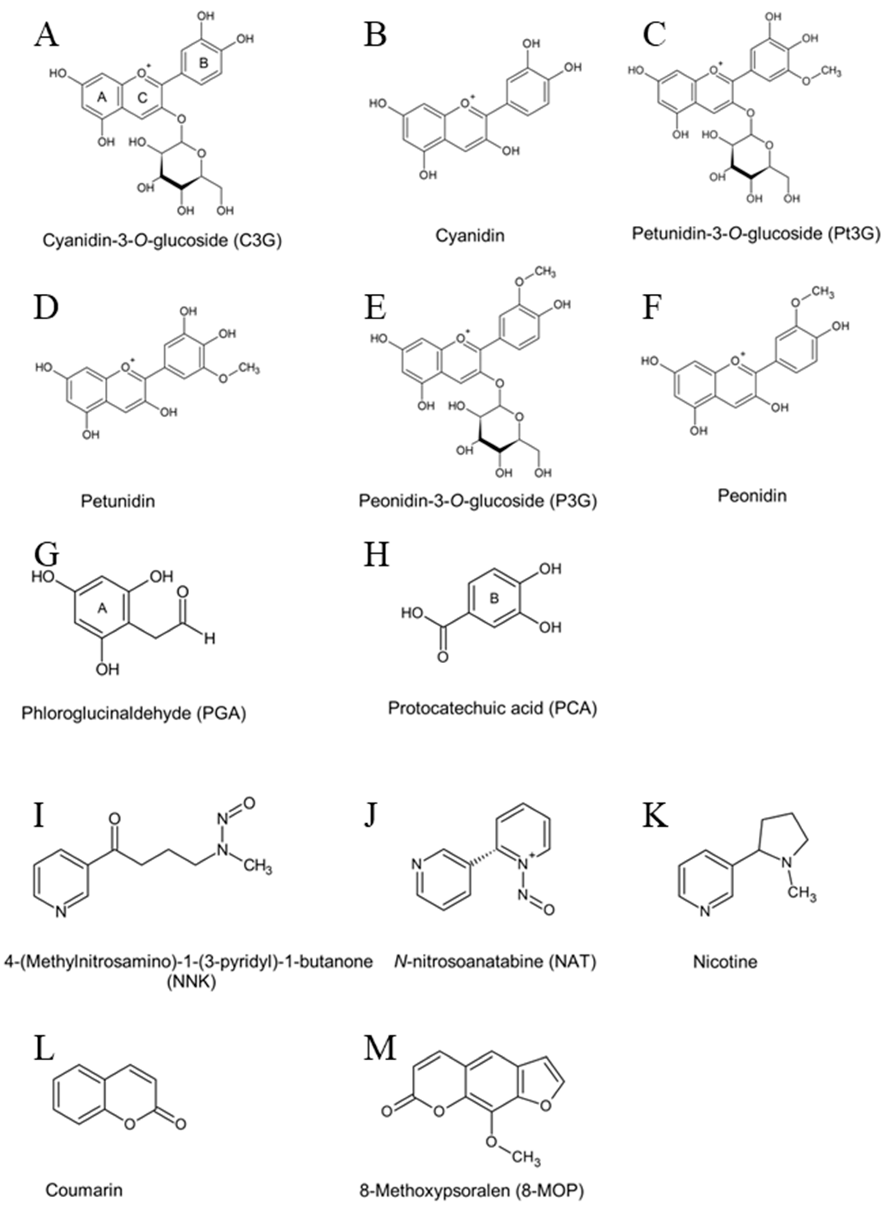 Pharmaceuticals 17 01615 g001 Pharmaceuticals 17 01615 g001