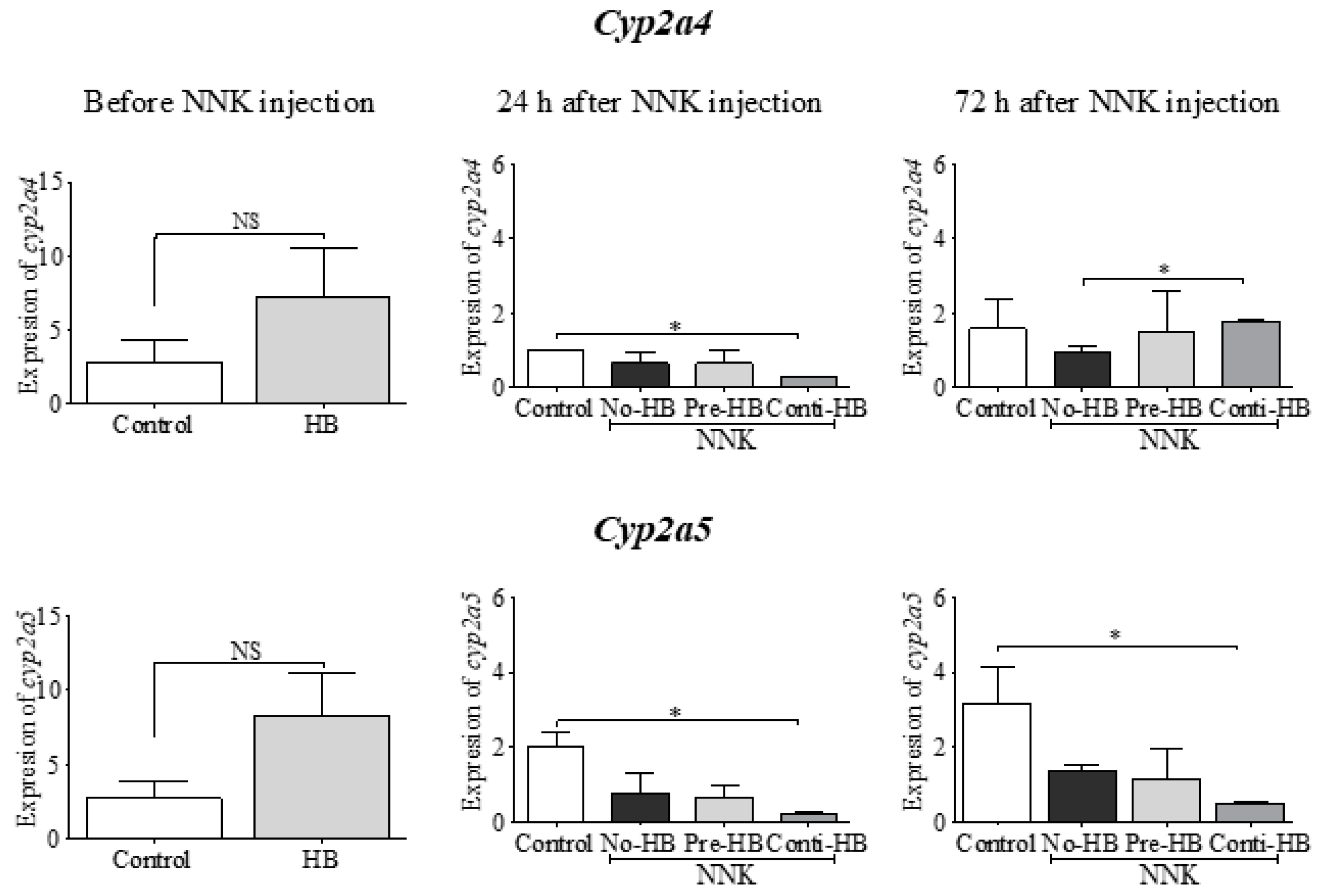 Pharmaceuticals 17 01615 g002 Pharmaceuticals 17 01615 g002