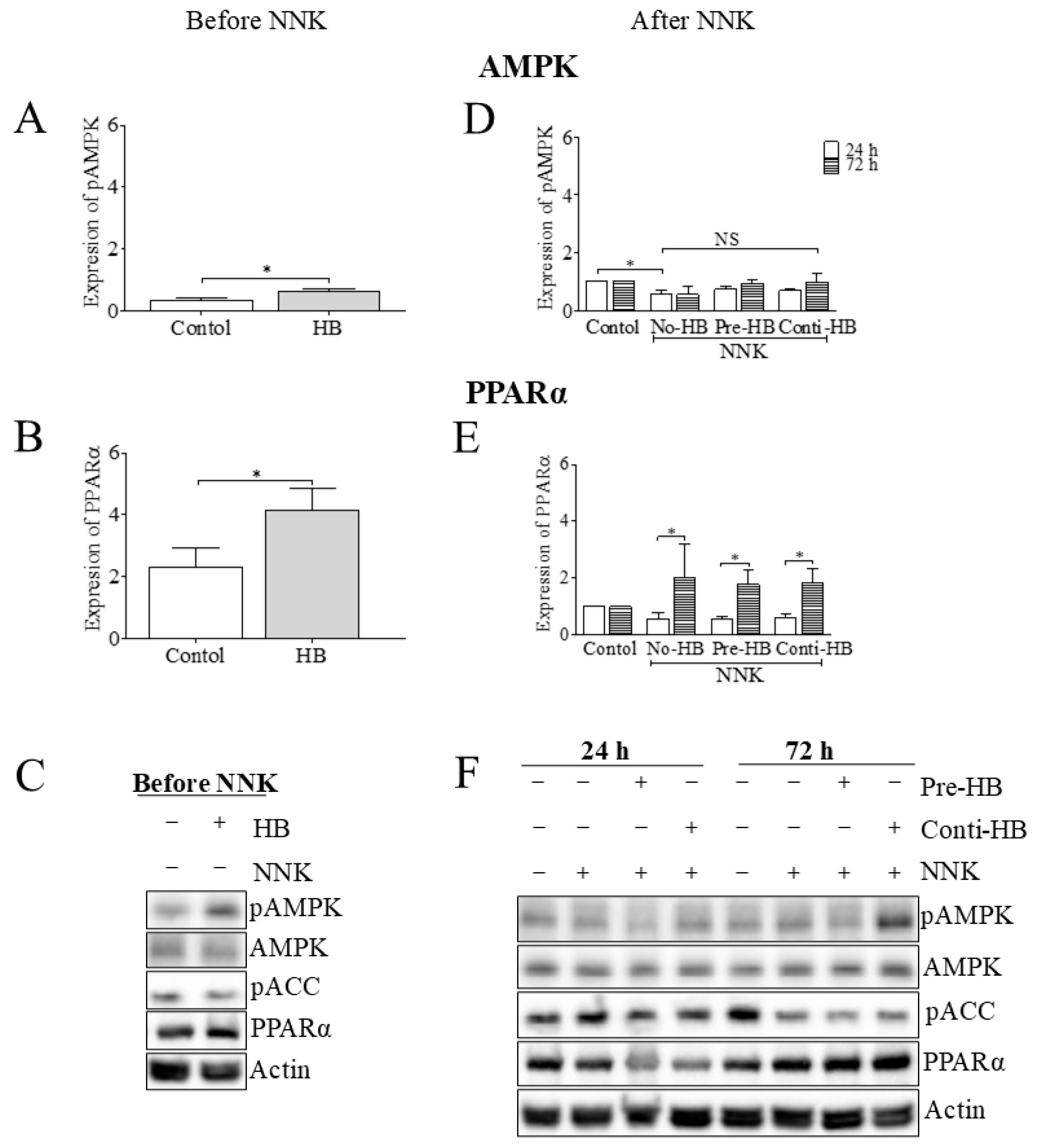 Pharmaceuticals 17 01615 g004 Pharmaceuticals 17 01615 g004