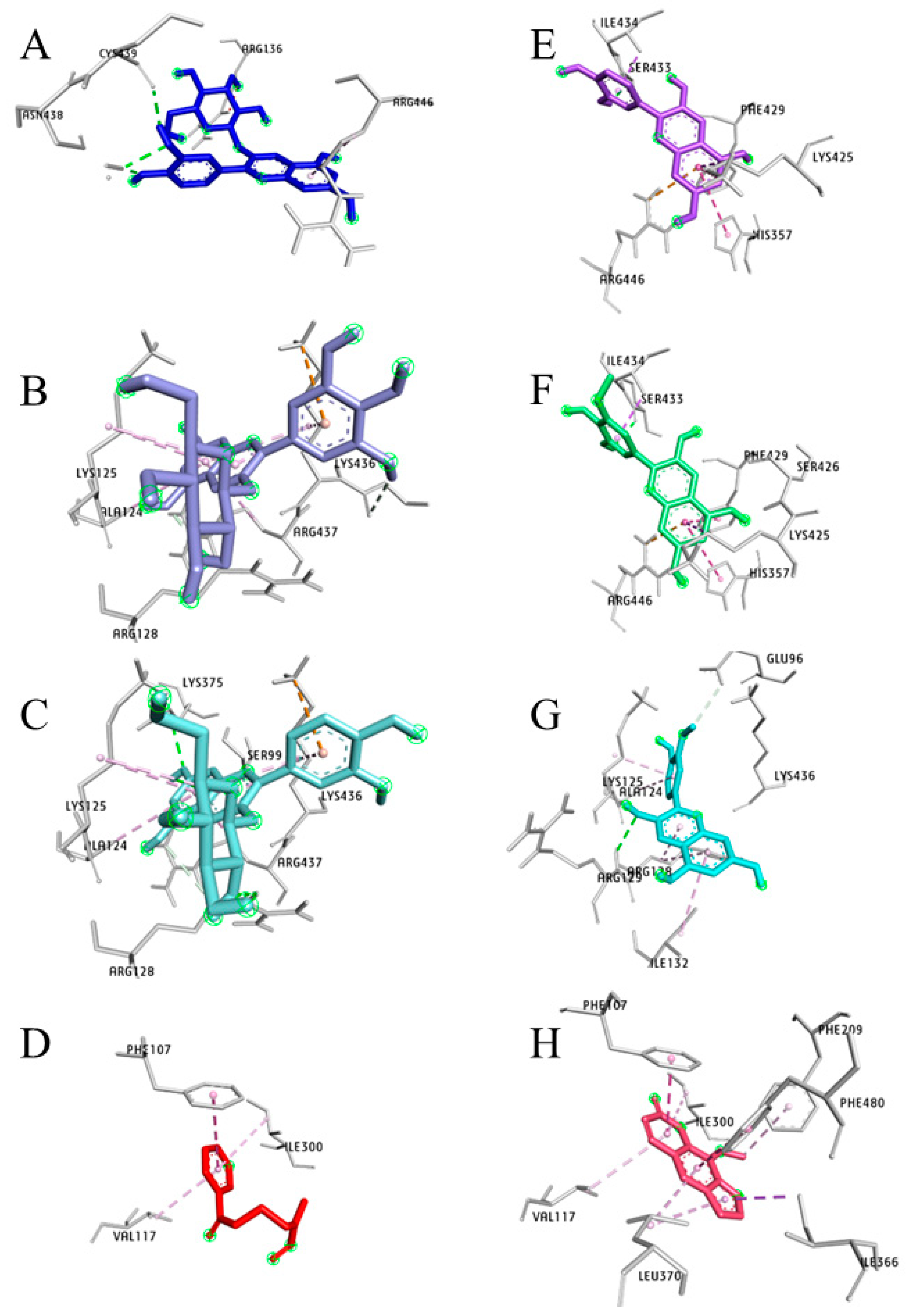 Pharmaceuticals 17 01615 g009 Pharmaceuticals 17 01615 g009
