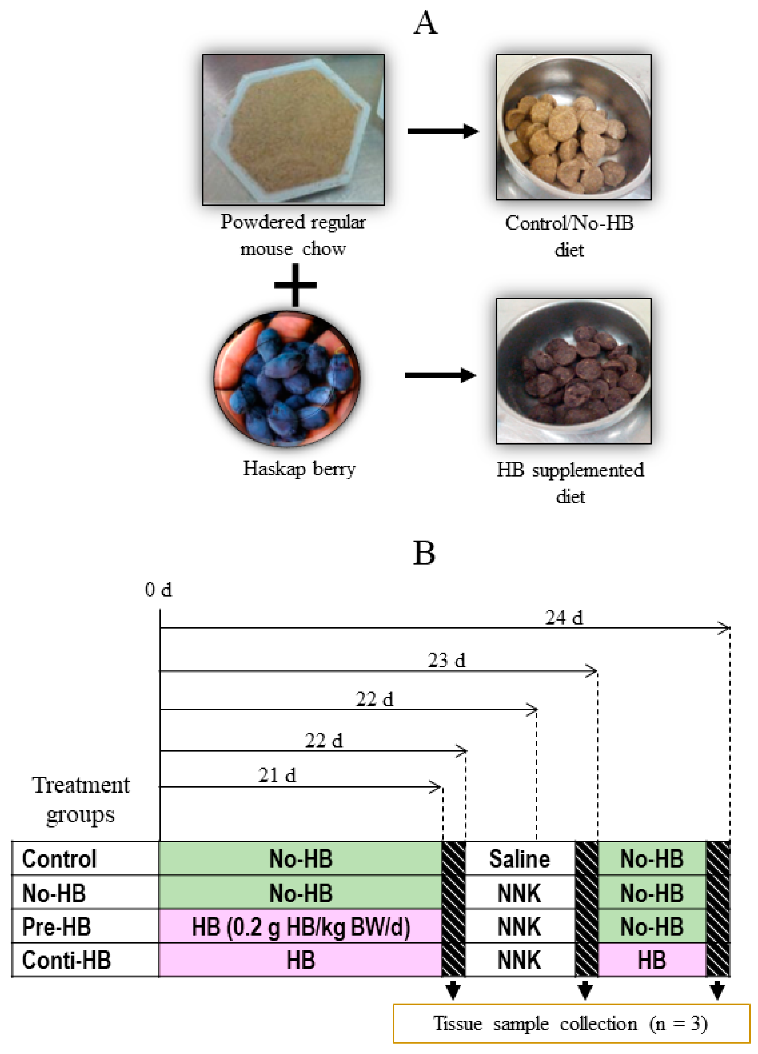 Pharmaceuticals 17 01615 g011 Pharmaceuticals 17 01615 g011