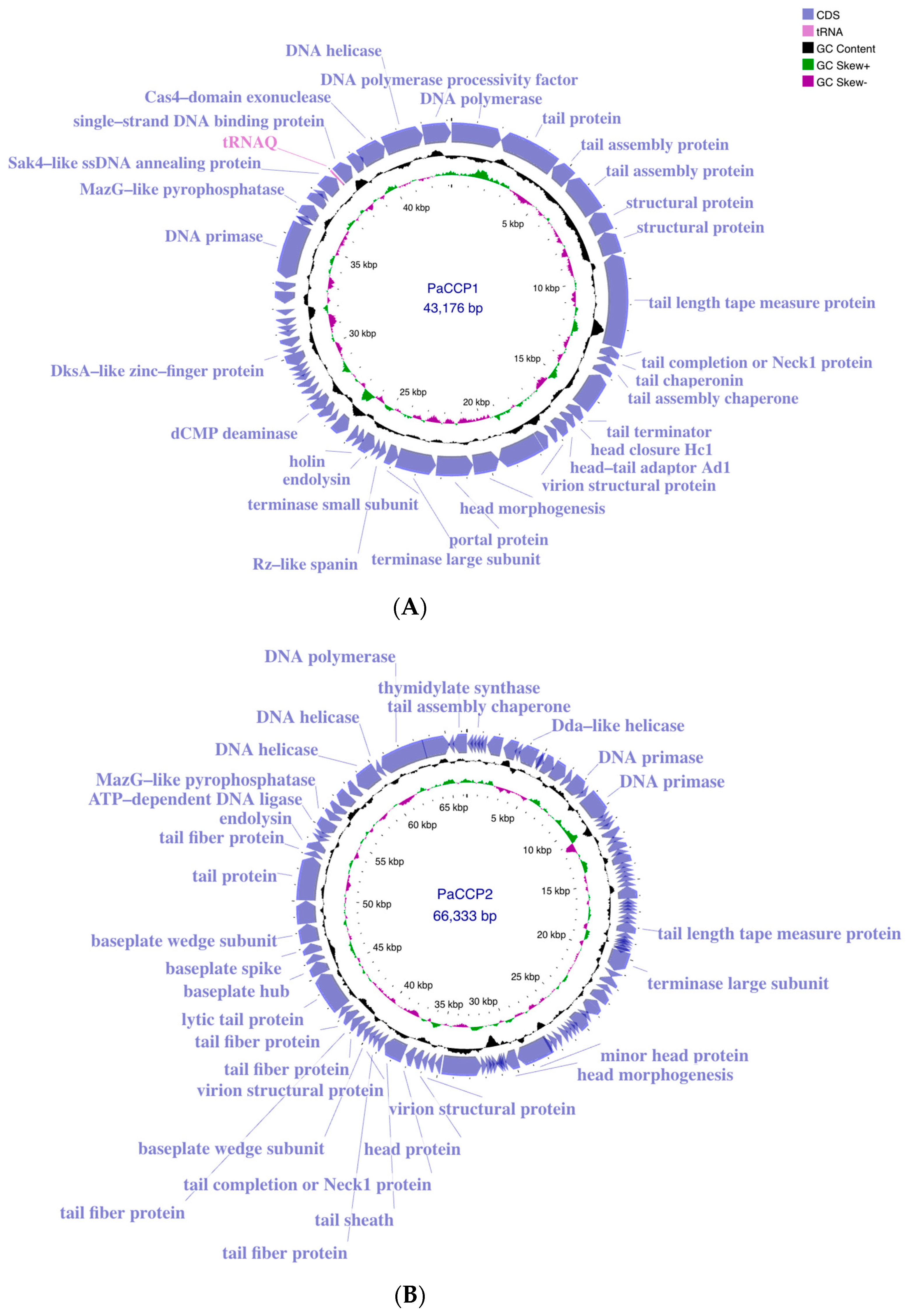 Pharmaceuticals 17 01616 g002