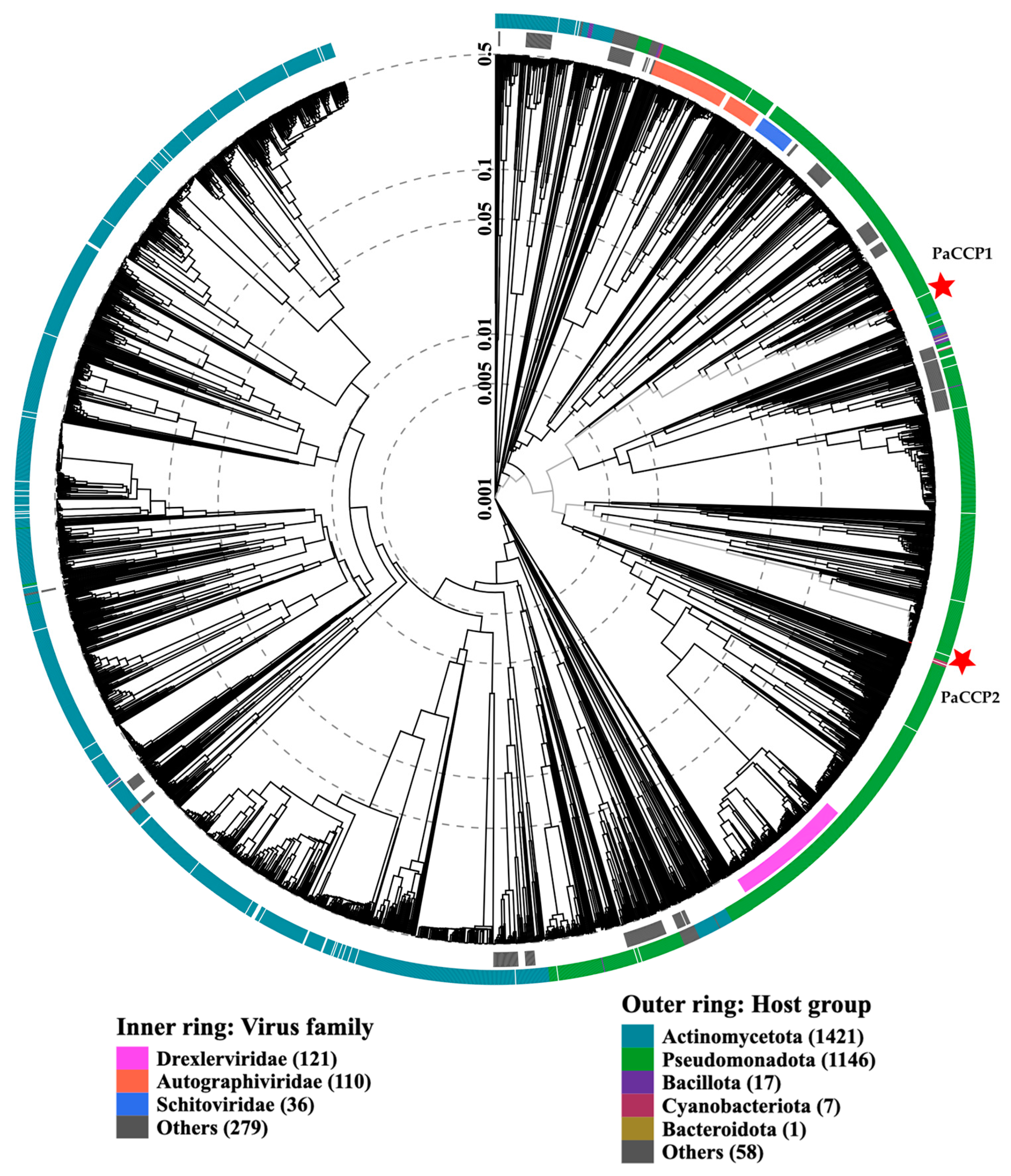 Pharmaceuticals 17 01616 g003