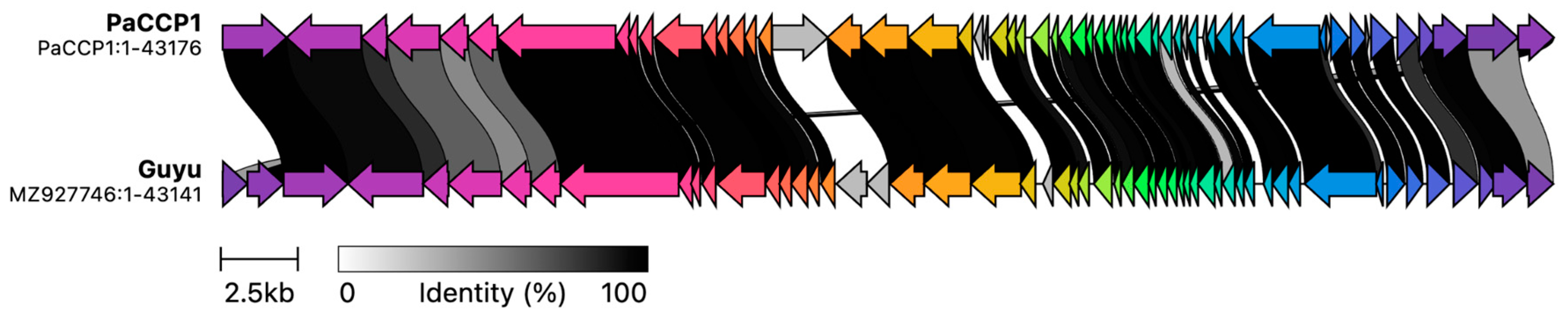 Pharmaceuticals 17 01616 g006