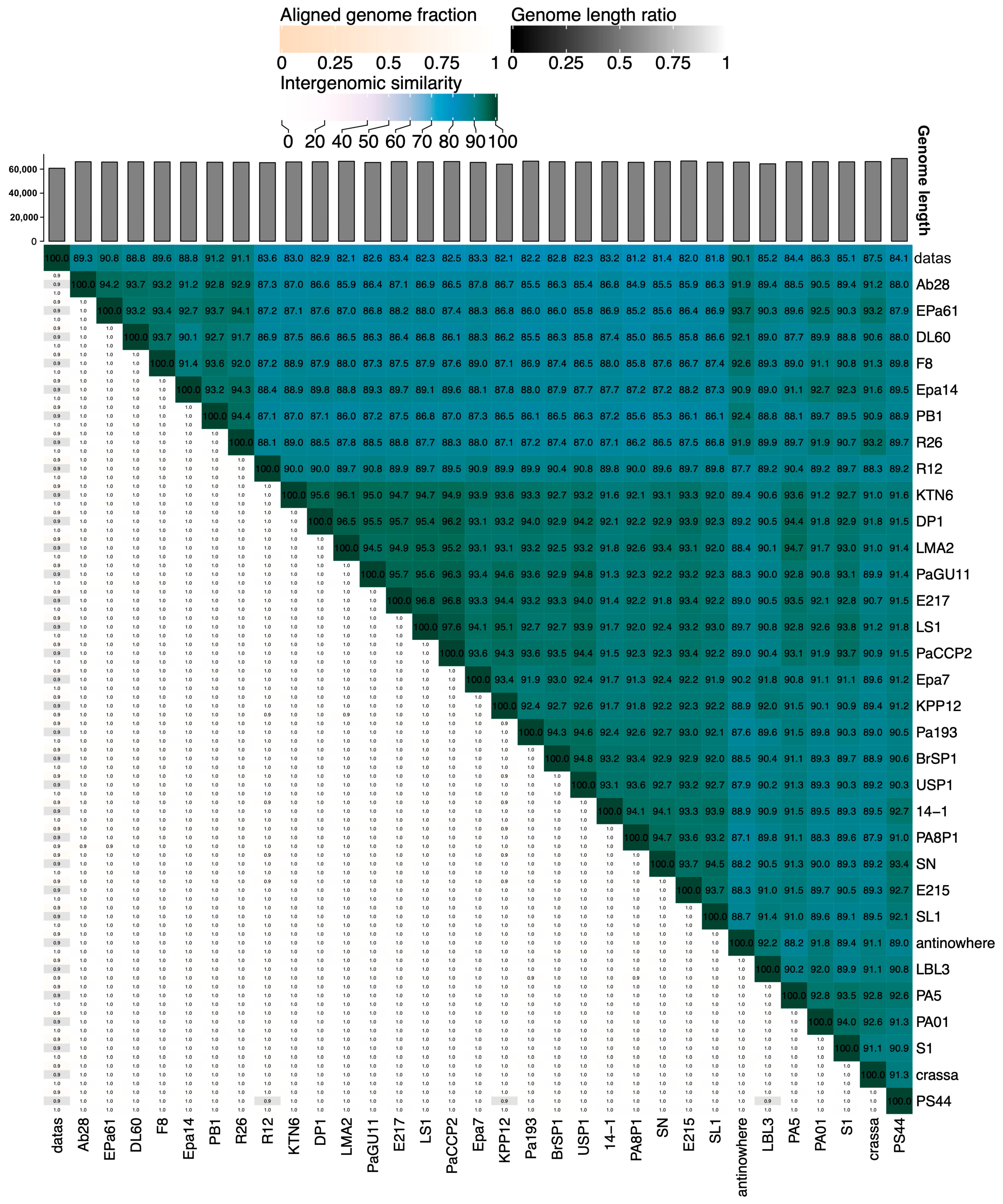 Pharmaceuticals 17 01616 g007
