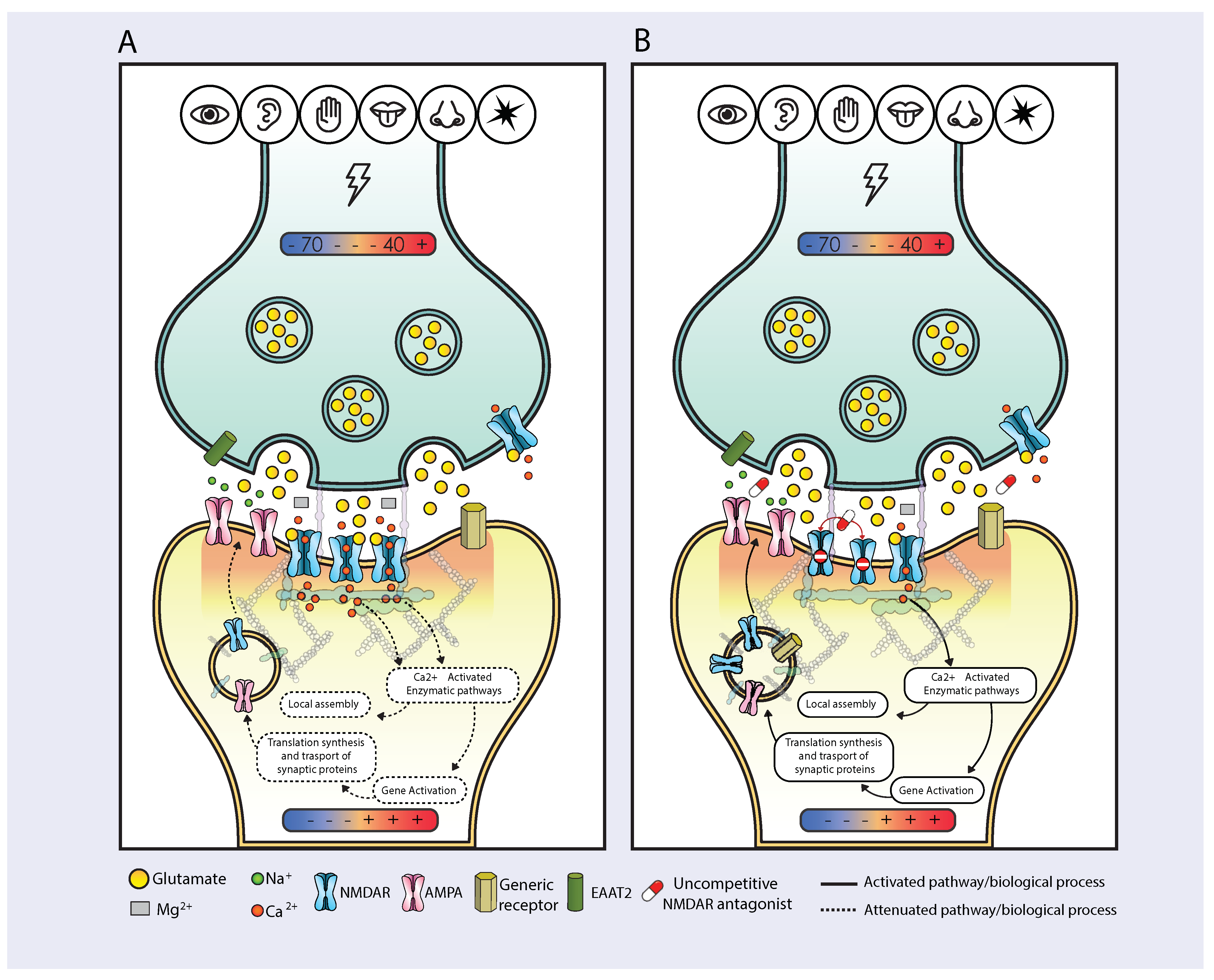 Pharmaceuticals 17 01618 g001