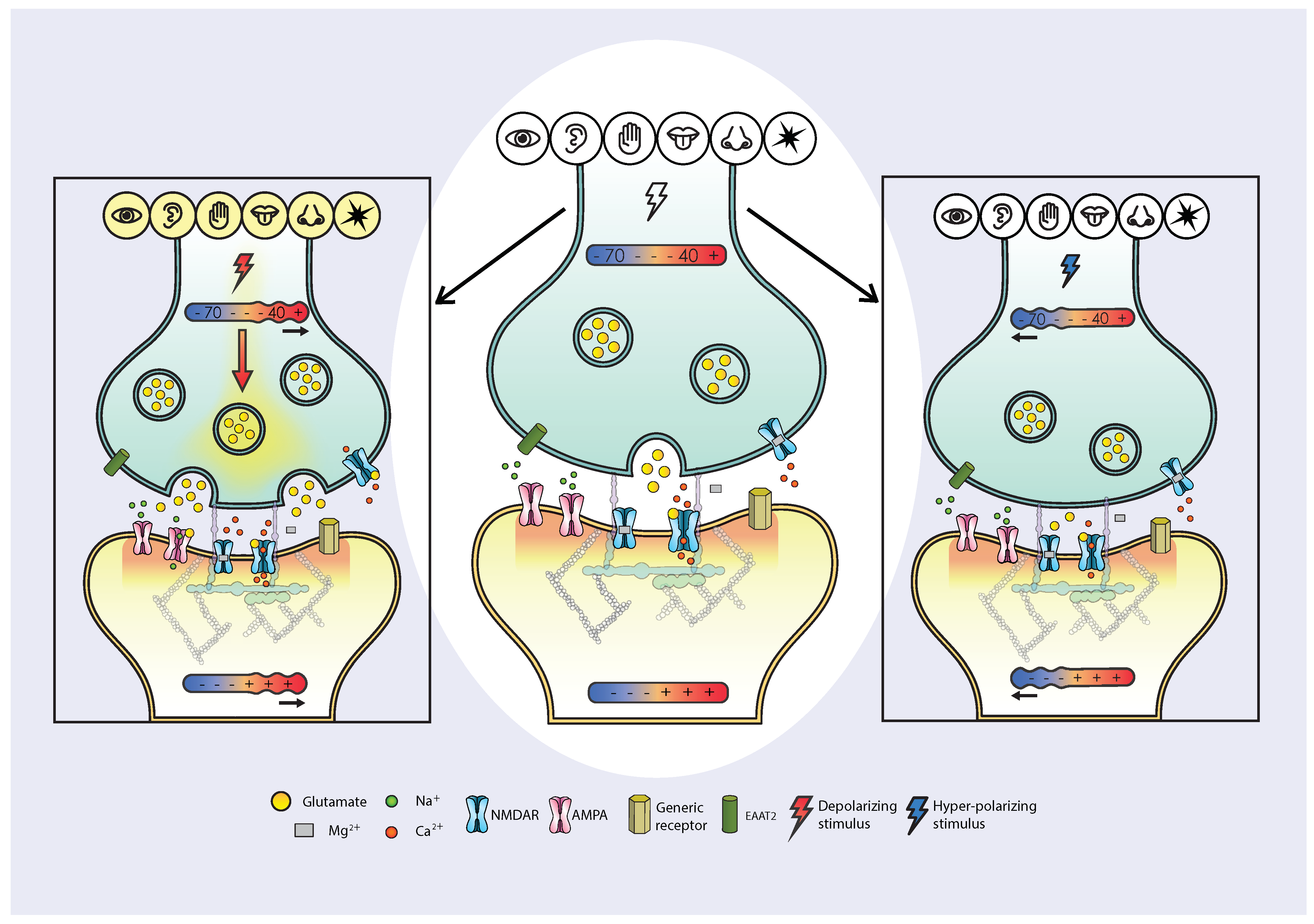 Pharmaceuticals 17 01618 g002