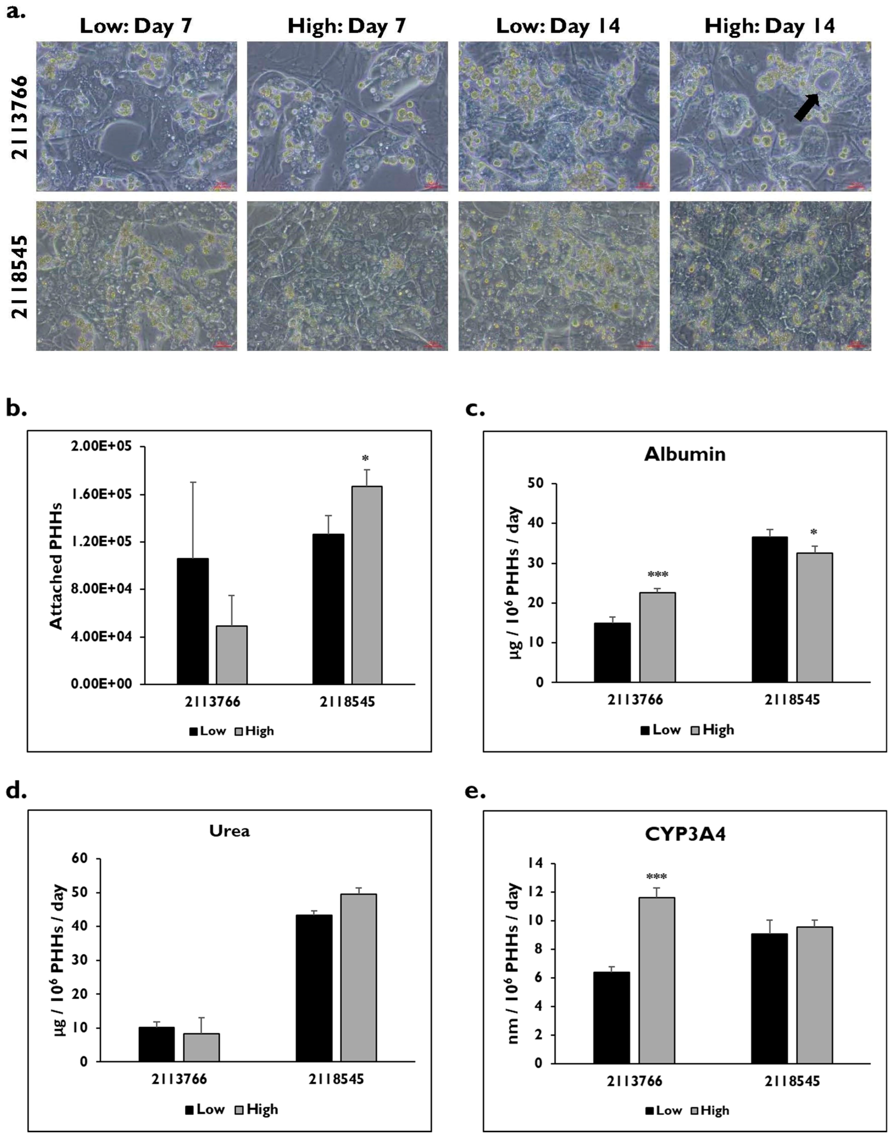 Pharmaceuticals 17 01624 g001