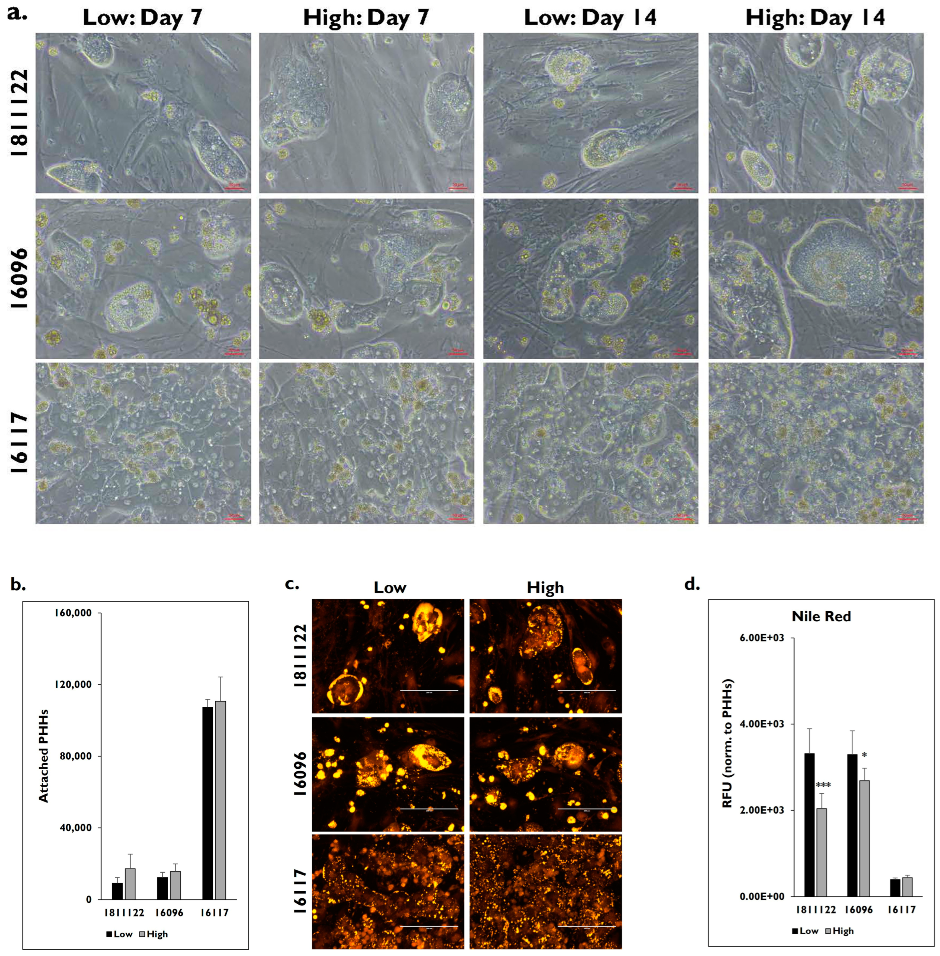 Pharmaceuticals 17 01624 g003