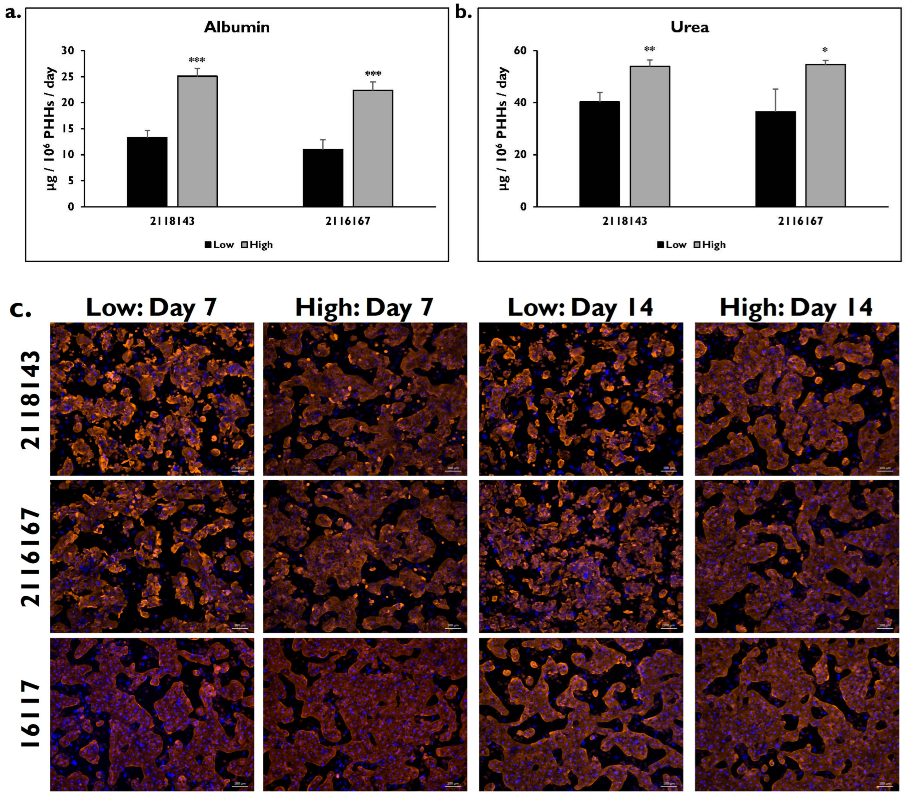 Pharmaceuticals 17 01624 g006a