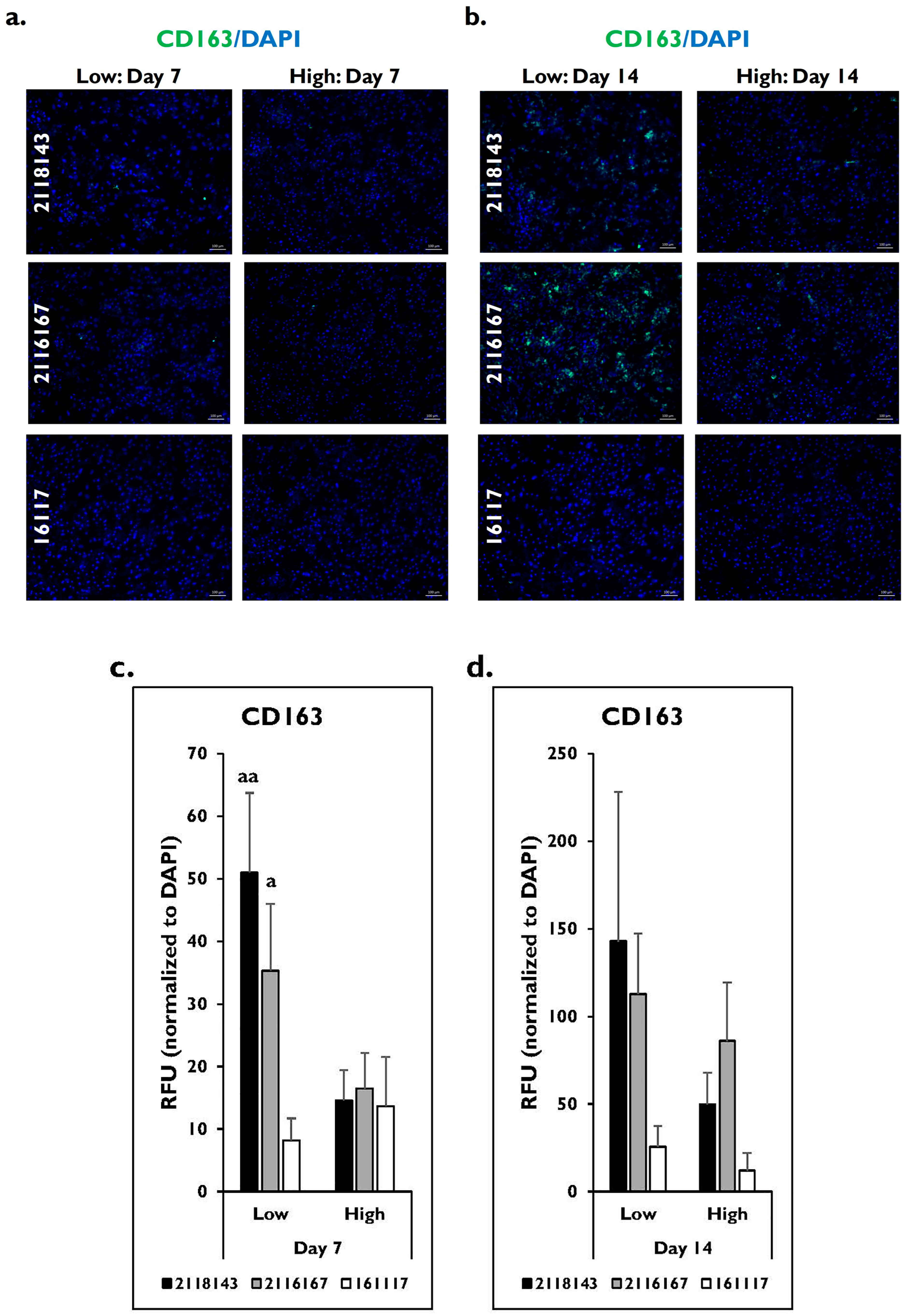 Pharmaceuticals 17 01624 g008
