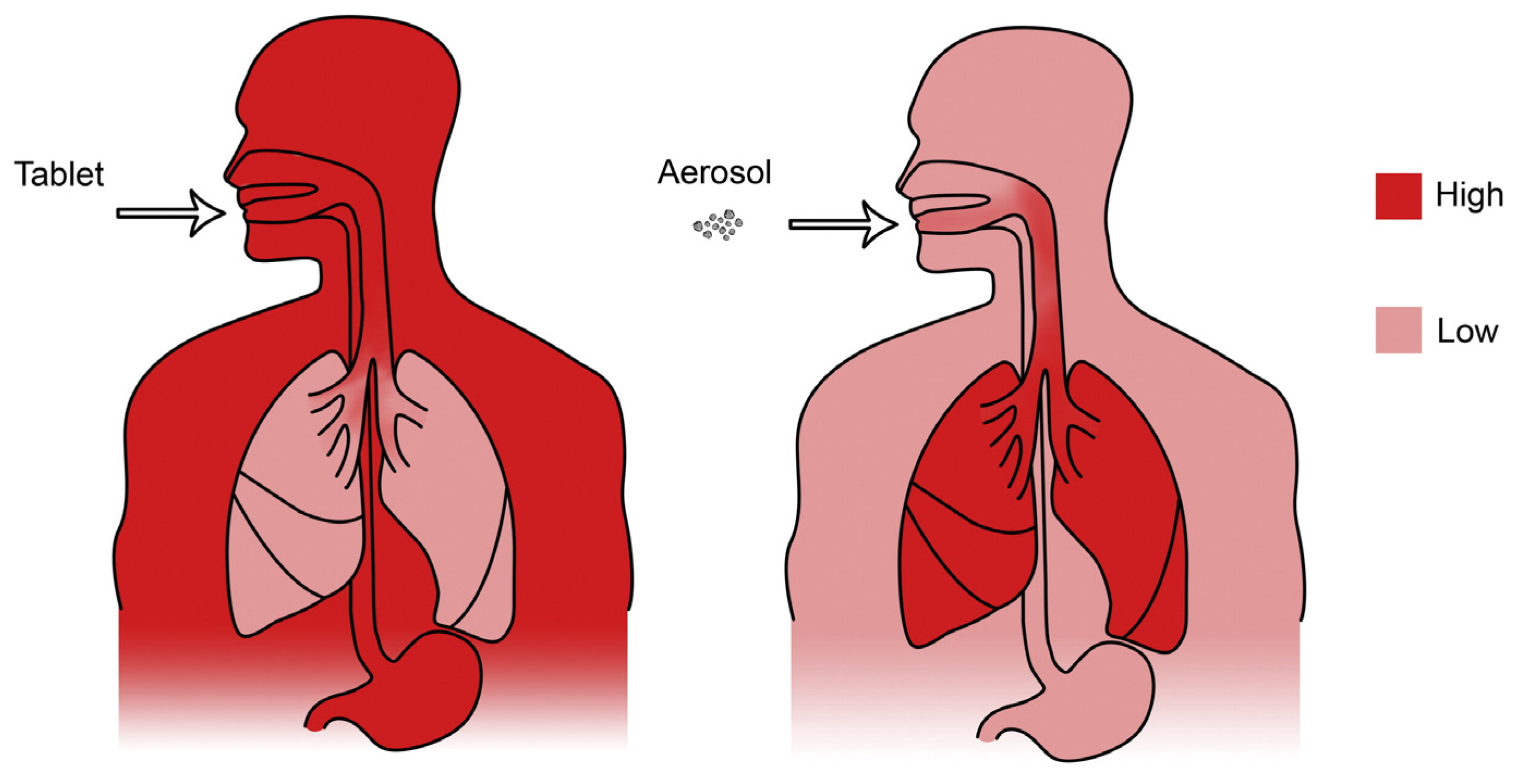Pharmaceuticals 17 01628 g001
