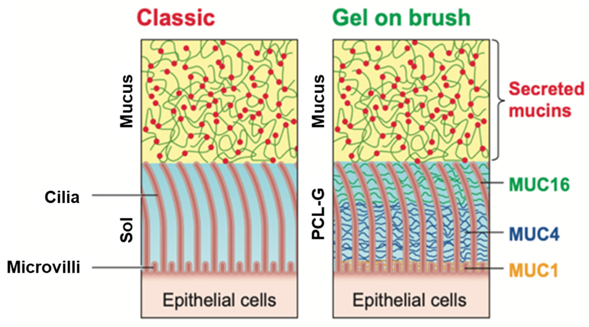 Pharmaceuticals 17 01628 g002